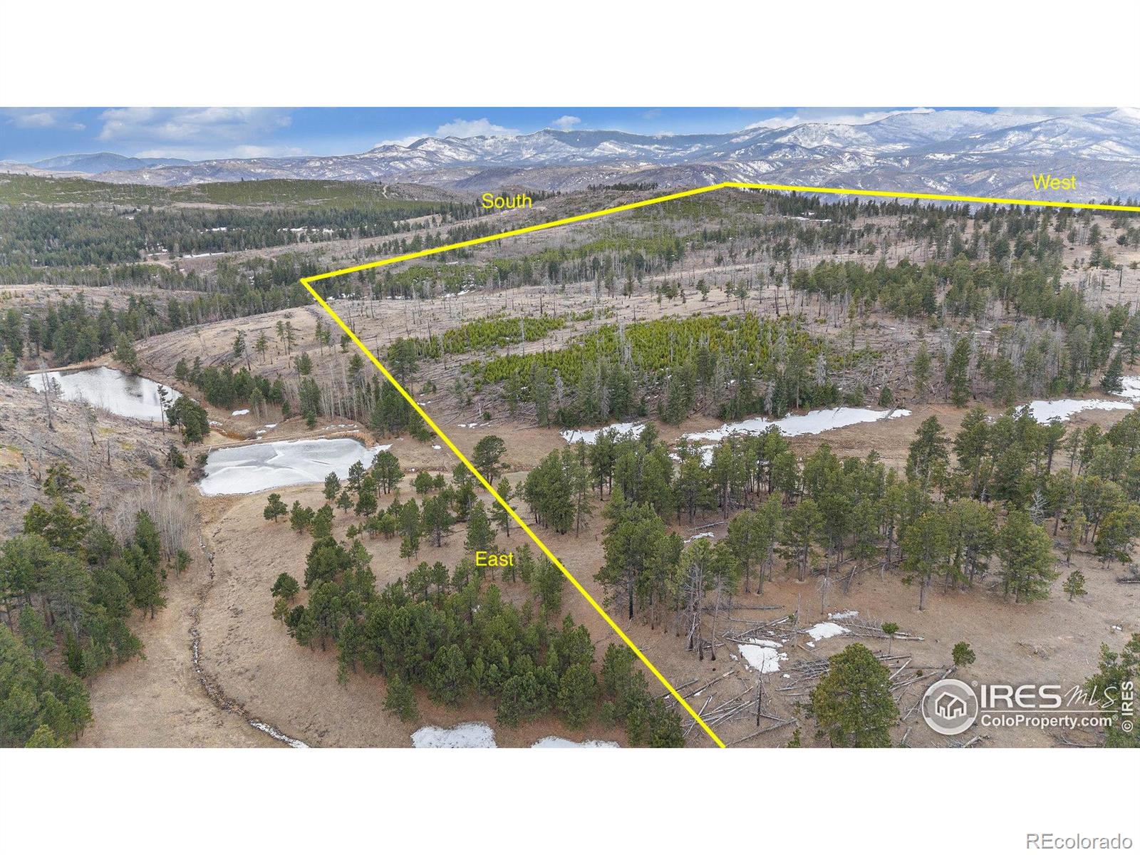 0 Tip Top Road Bellvue CO 80512