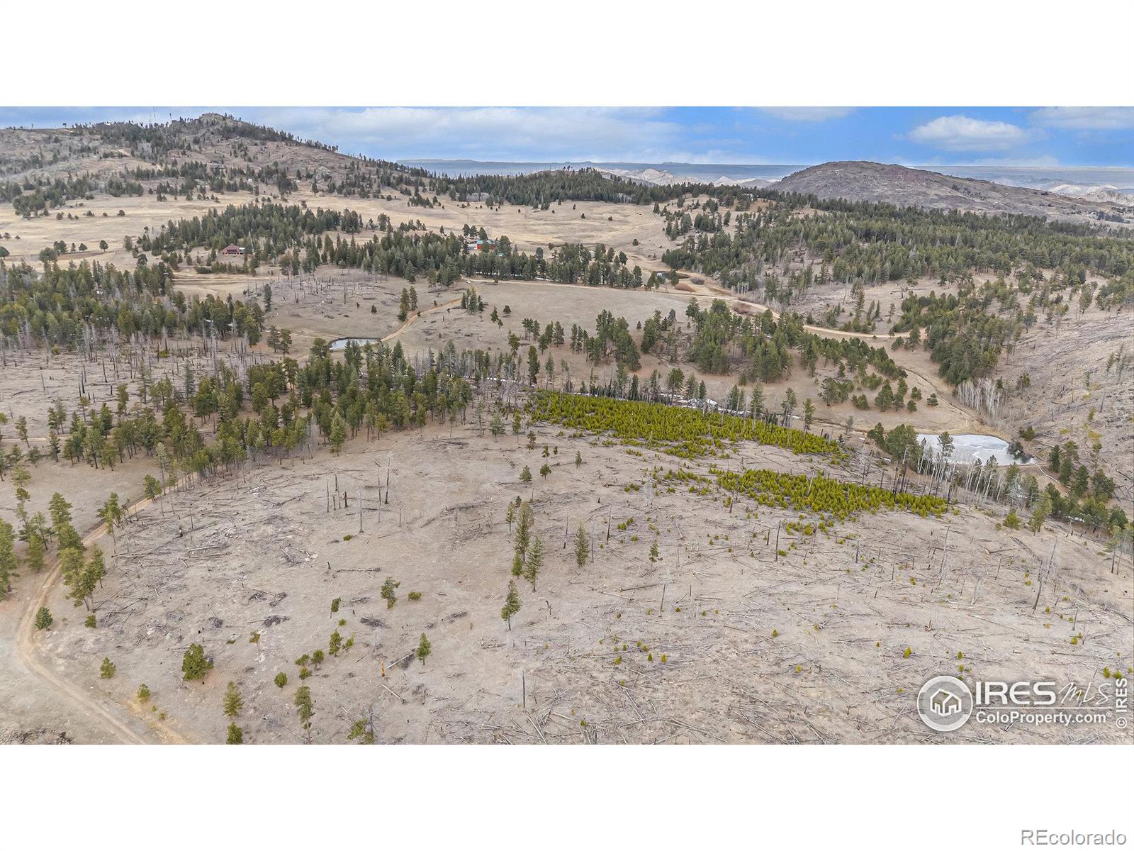0 Tip Top Road Bellvue CO 80512