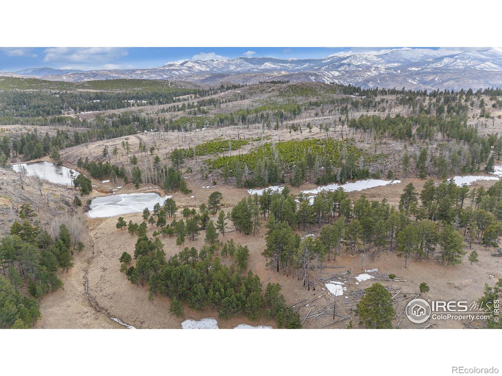 0 Tip Top Road Bellvue CO 80512