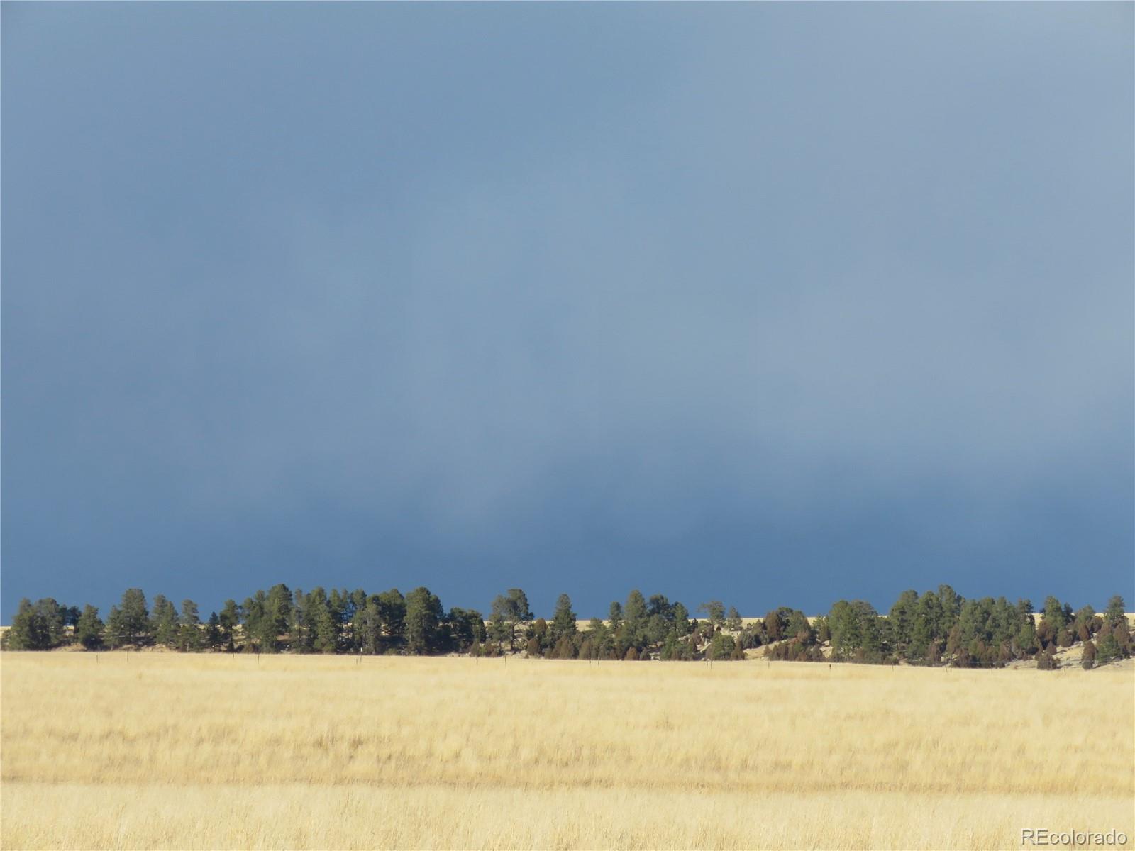 21550 Elk Meadows Circle Elbert CO 80106