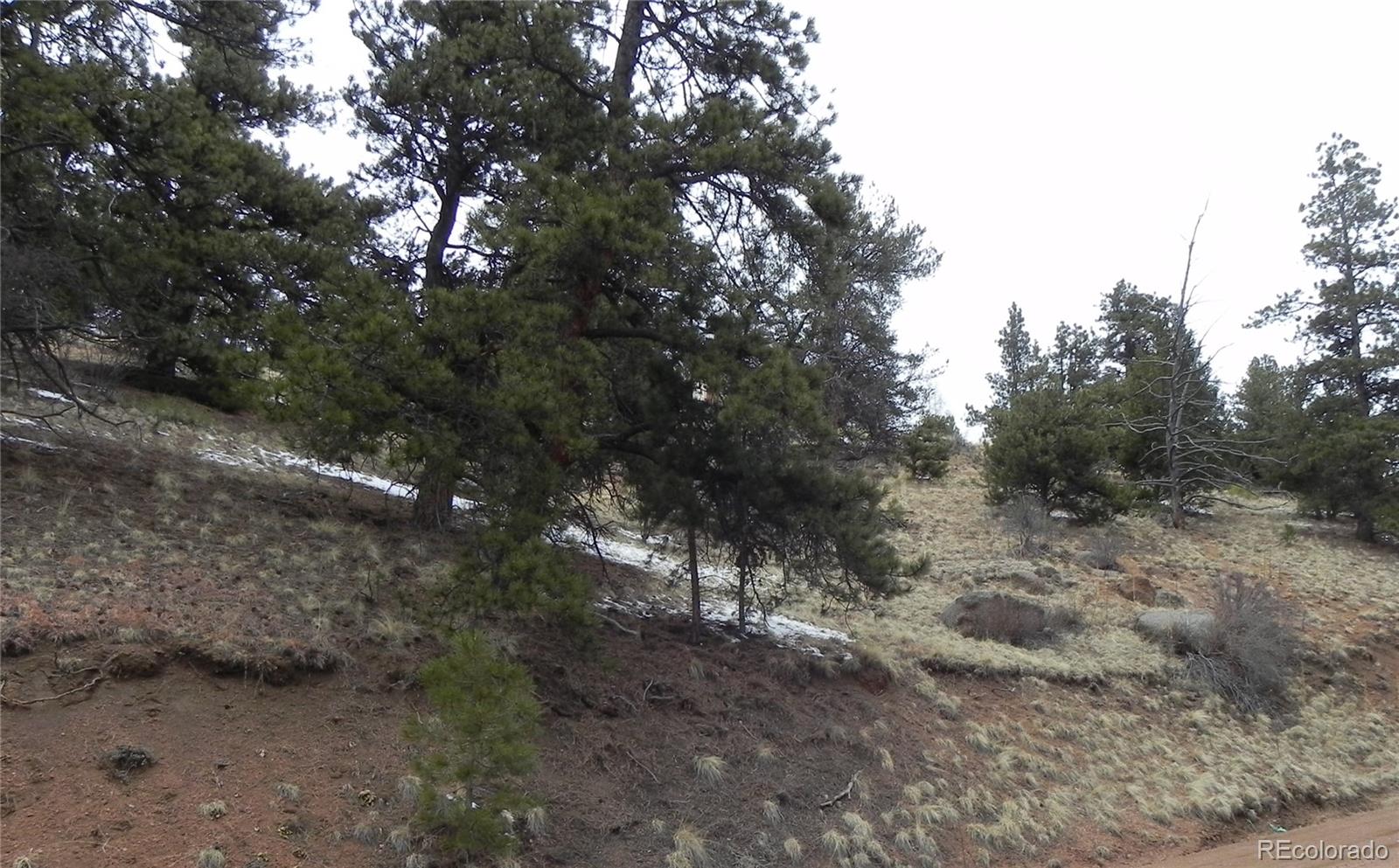 153 Idlewild Drive Cripple Creek CO 80813