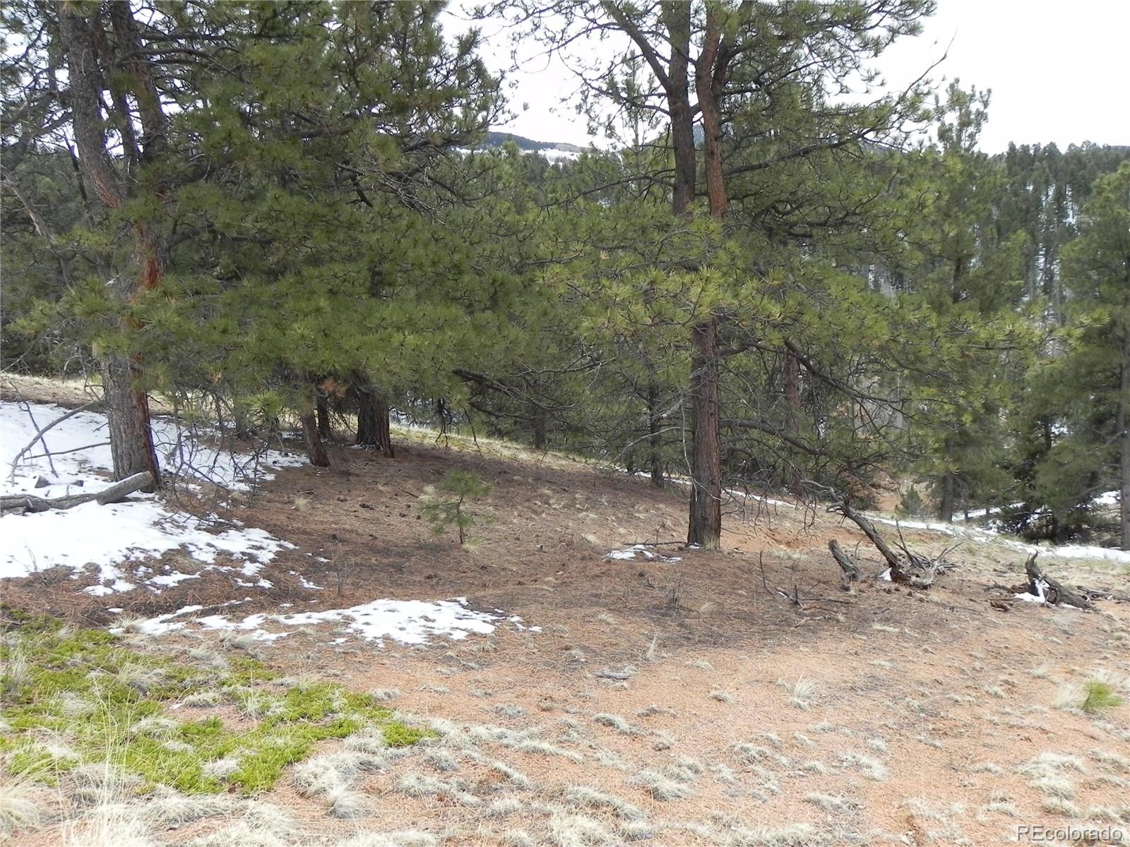 153 Idlewild Drive Cripple Creek CO 80813