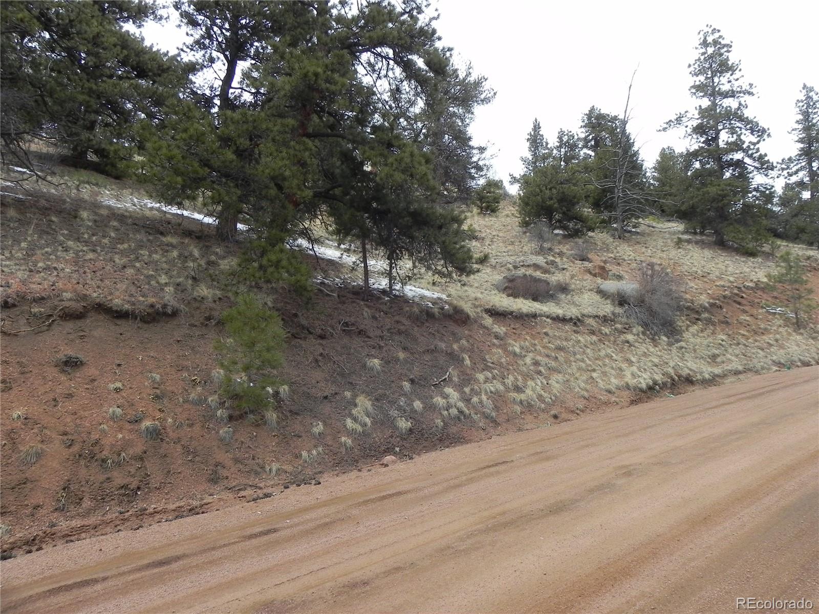 153 Idlewild Drive Cripple Creek CO 80813