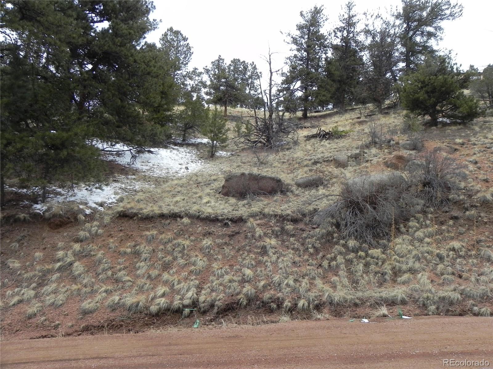 153 Idlewild Drive Cripple Creek CO 80813
