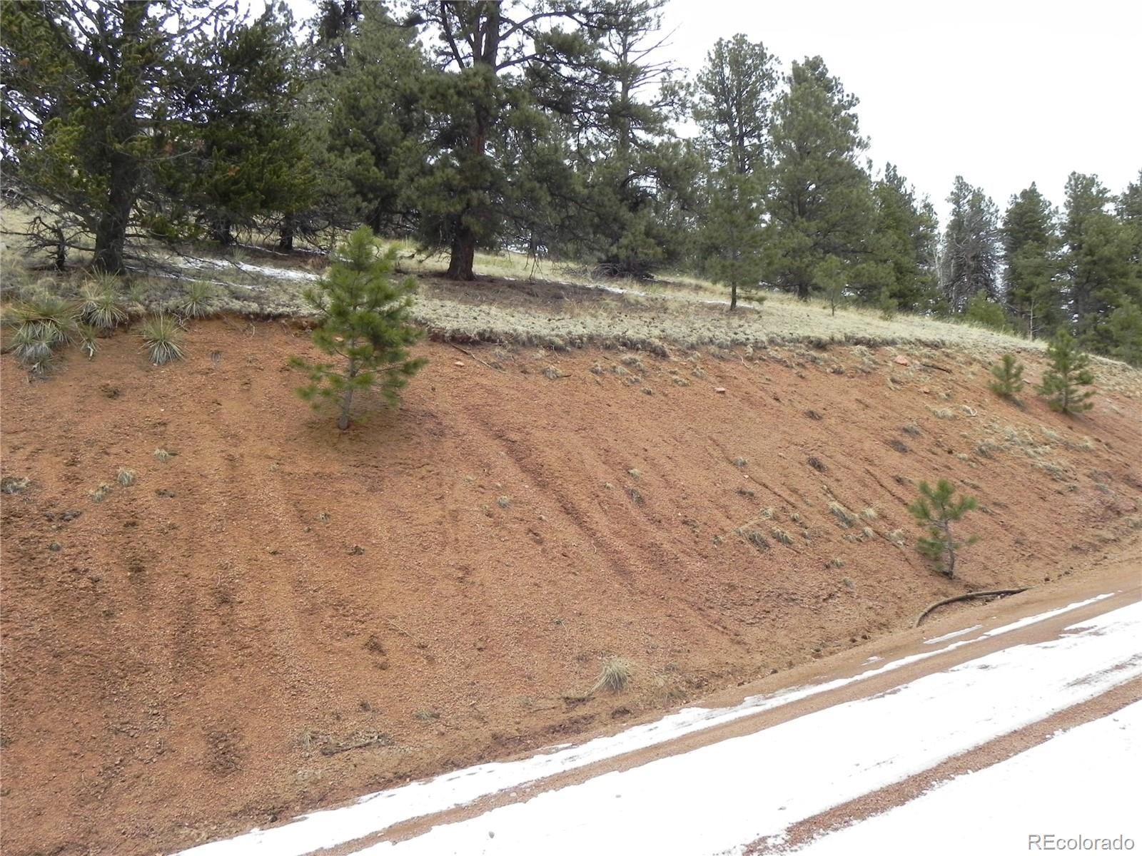 153 Idlewild Drive Cripple Creek CO 80813
