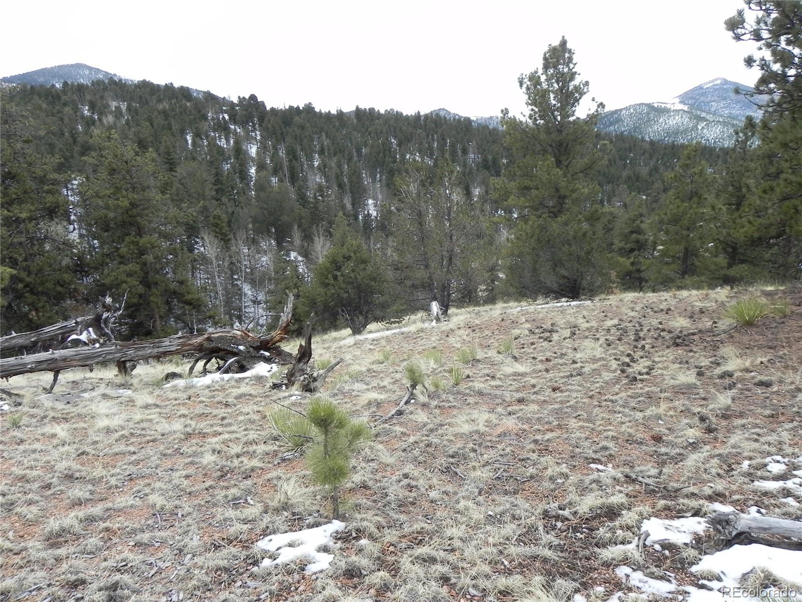 153 Idlewild Drive Cripple Creek CO 80813