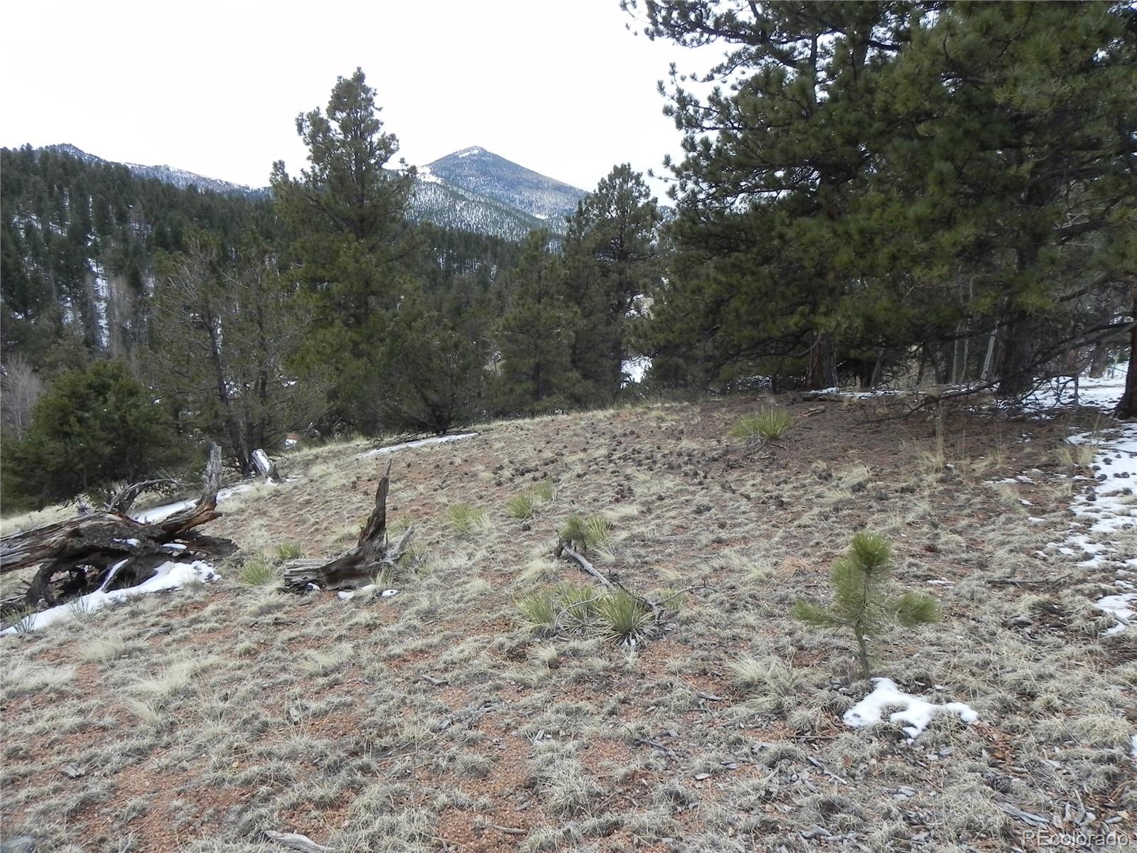 153 Idlewild Drive Cripple Creek CO 80813