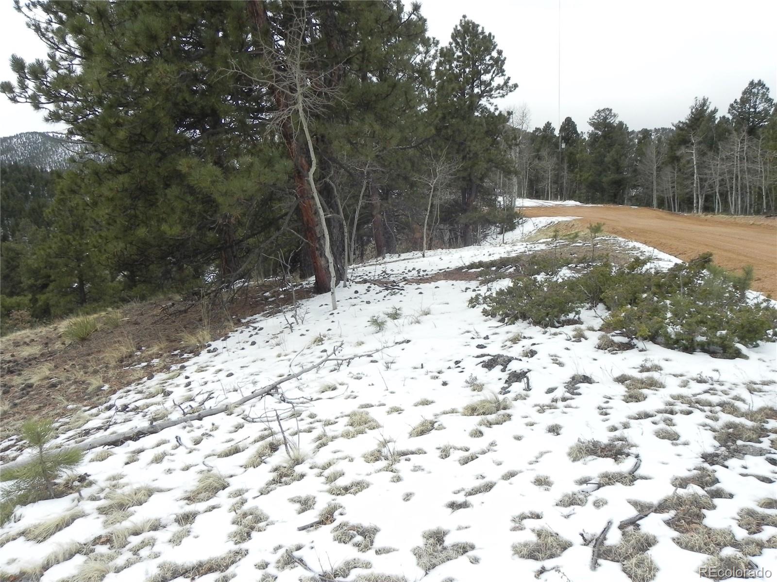 153 Idlewild Drive Cripple Creek CO 80813