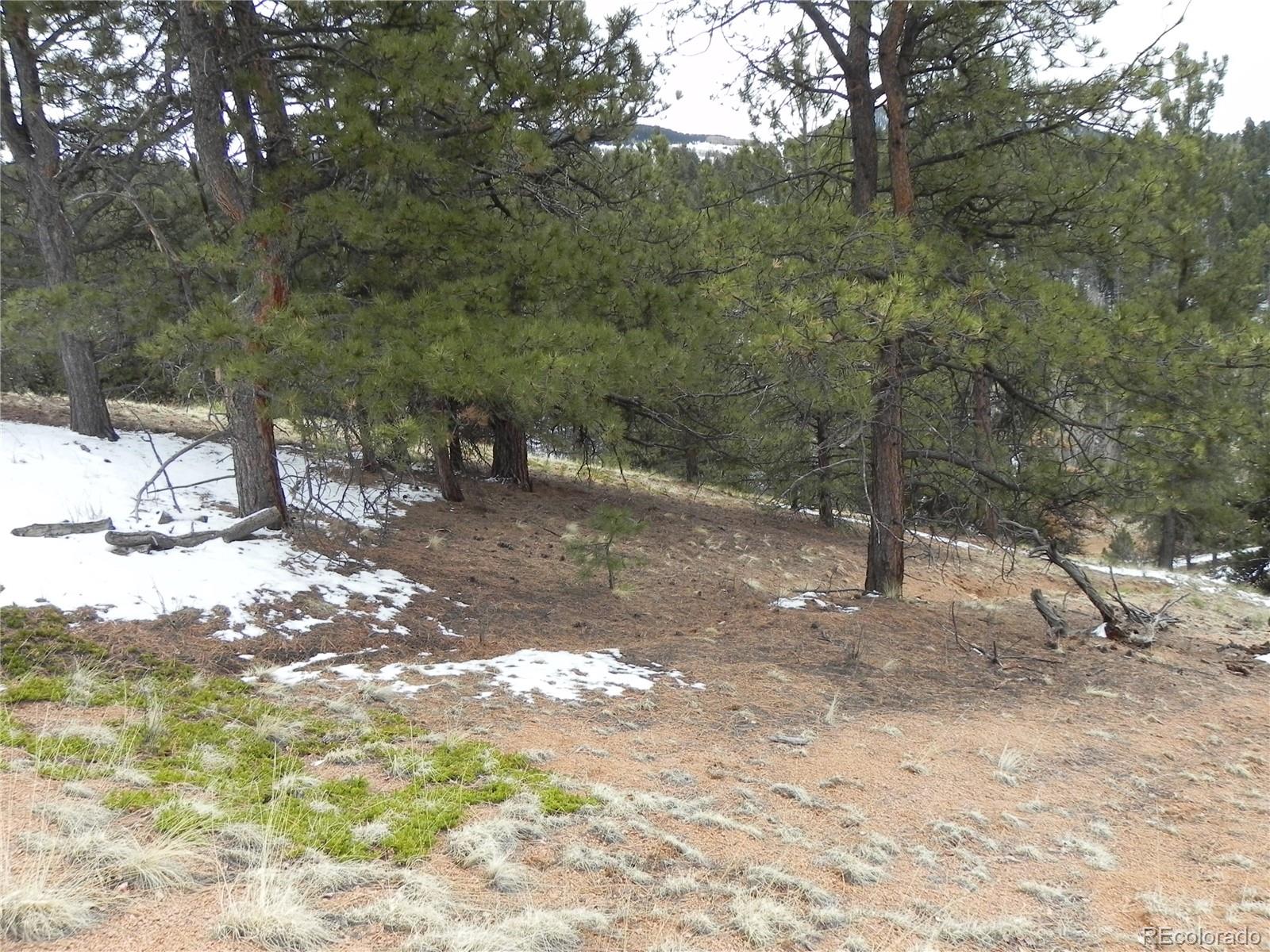 153 Idlewild Drive Cripple Creek CO 80813