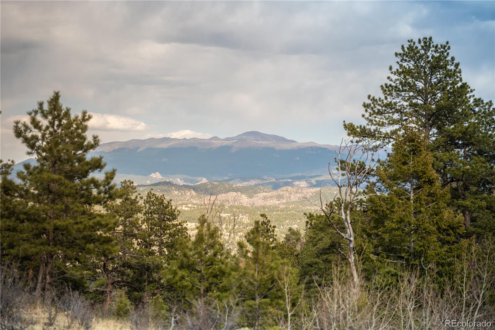 404 Valley Drive Florissant CO 80816