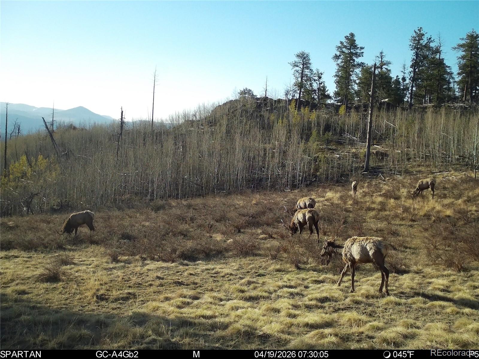 404 Valley Drive Florissant CO 80816