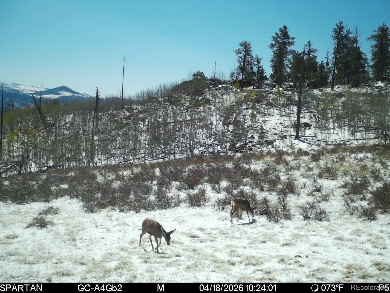 404 Valley Drive Florissant CO 80816