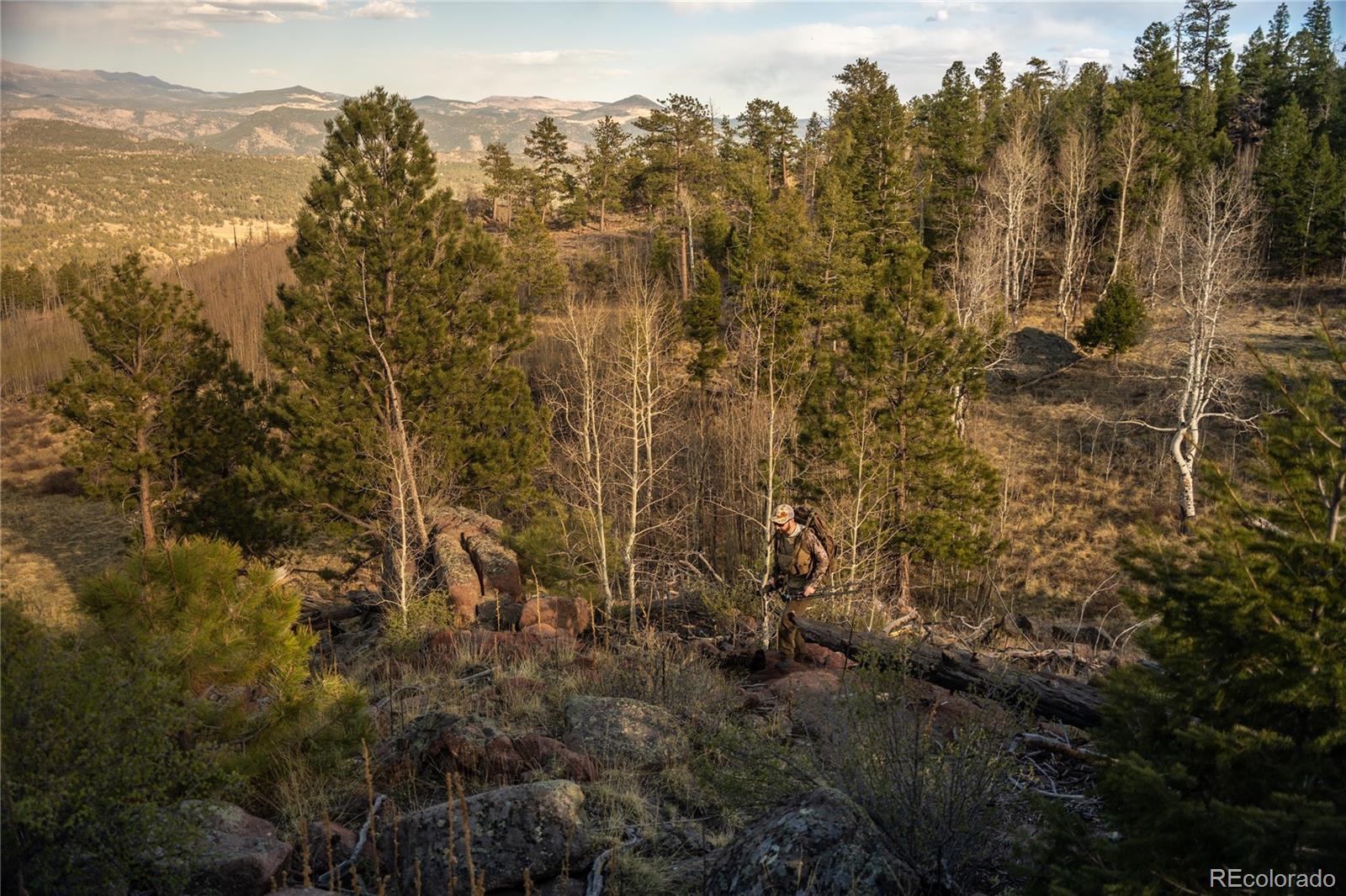 404 Valley Drive Florissant CO 80816