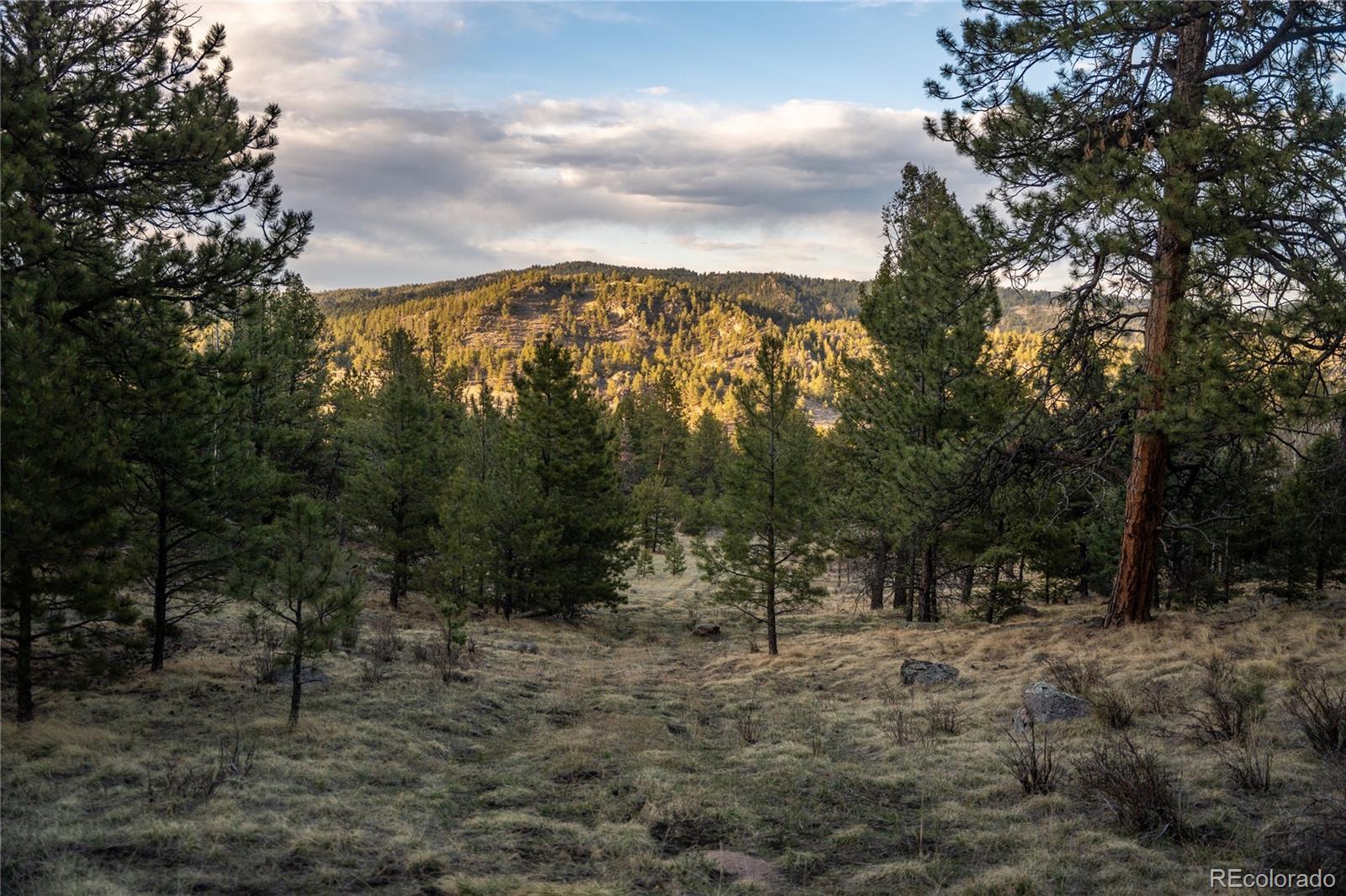 404 Valley Drive Florissant CO 80816