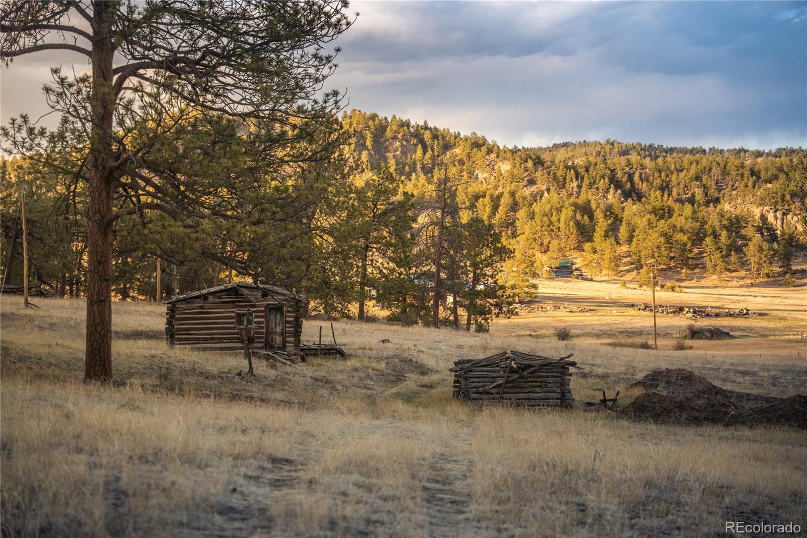 404 Valley Drive Florissant CO 80816