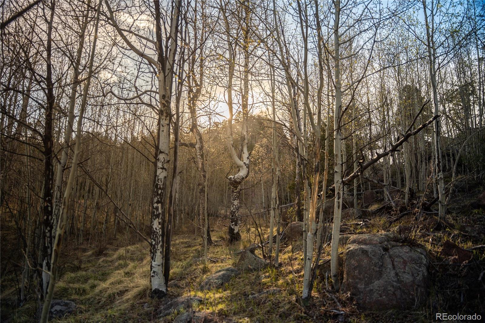 404 Valley Drive Florissant CO 80816