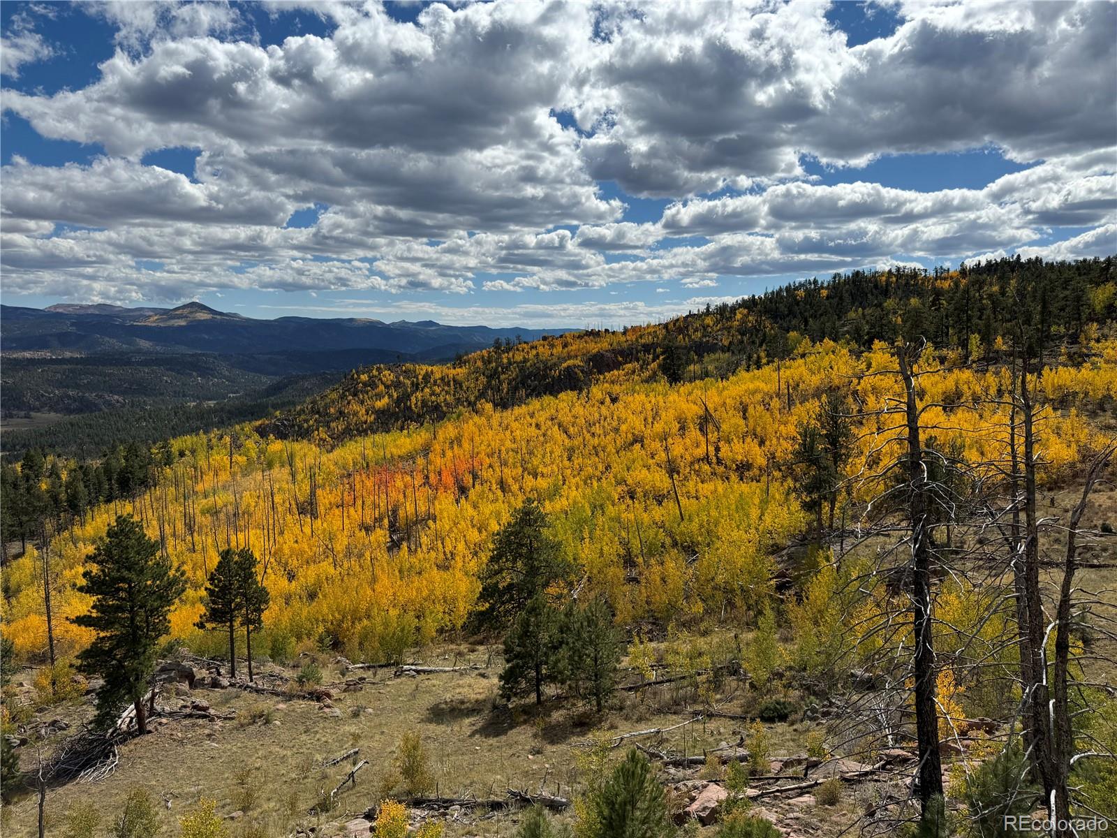 404 Valley Drive Florissant CO 80816
