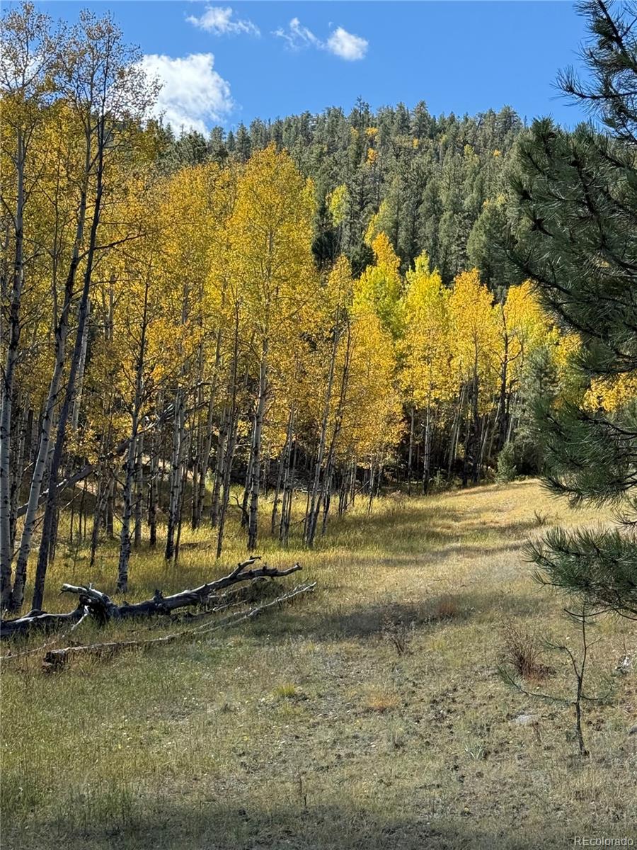 404 Valley Drive Florissant CO 80816