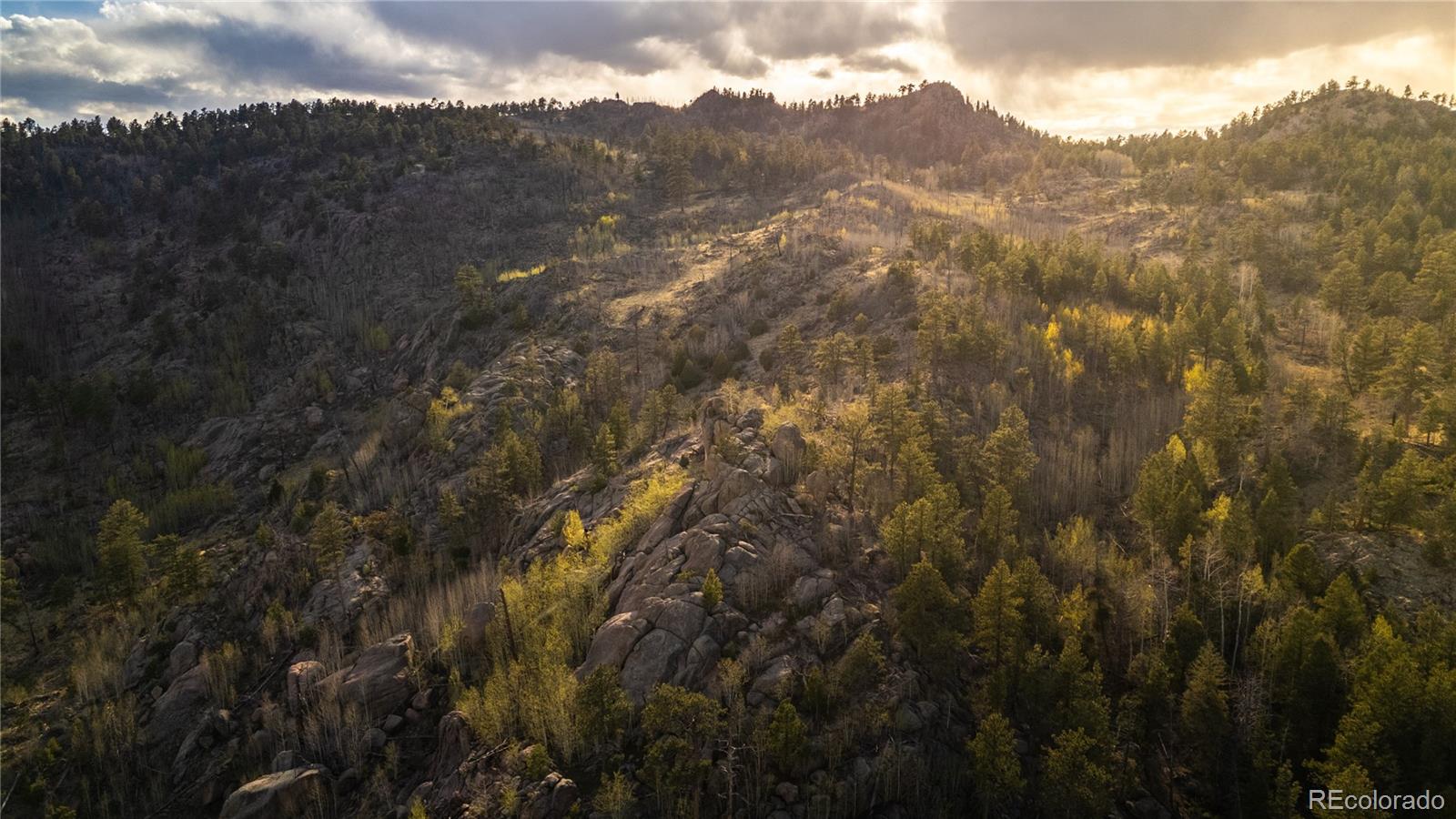 404 Valley Drive Florissant CO 80816