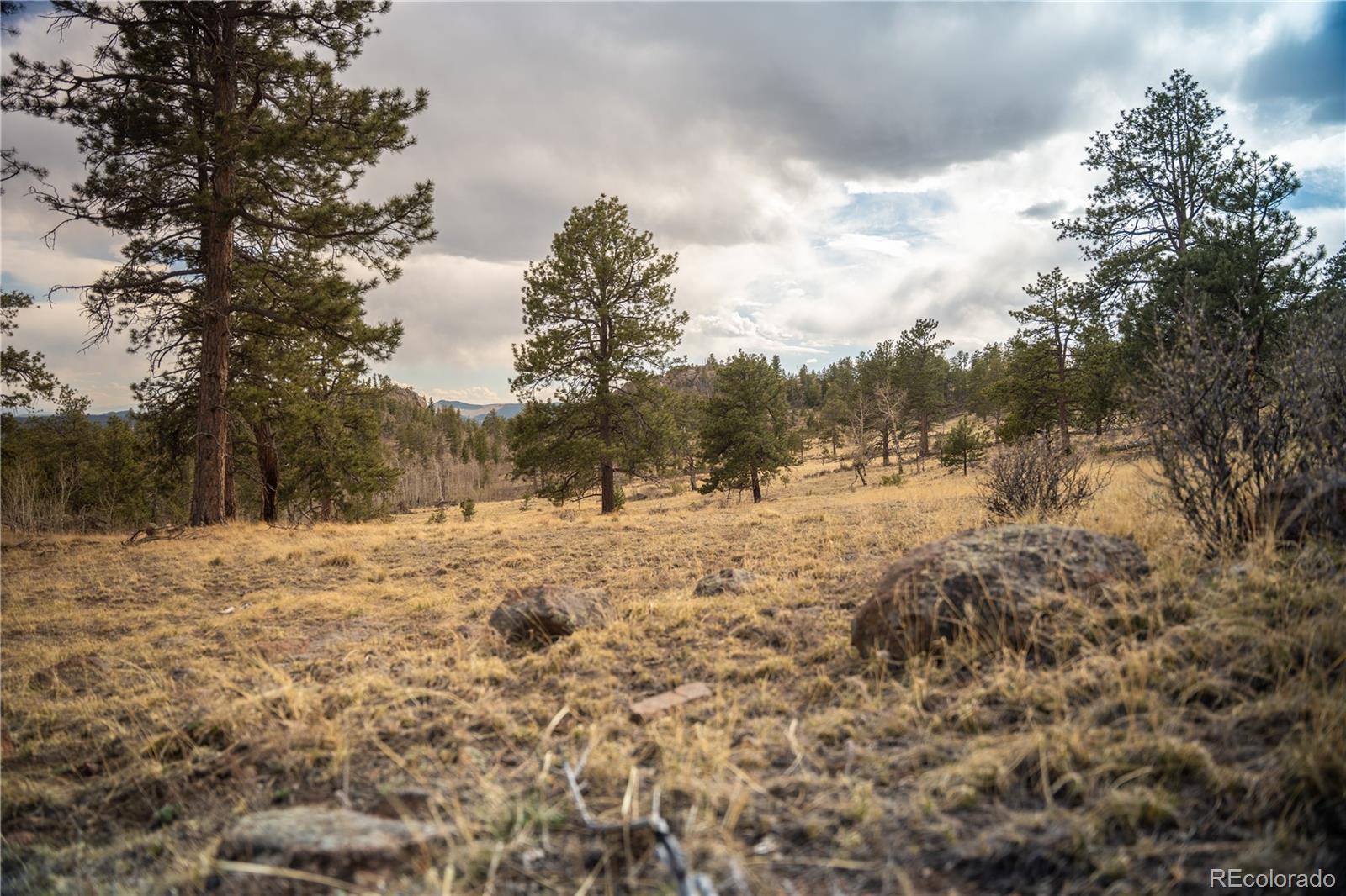 404 Valley Drive Florissant CO 80816