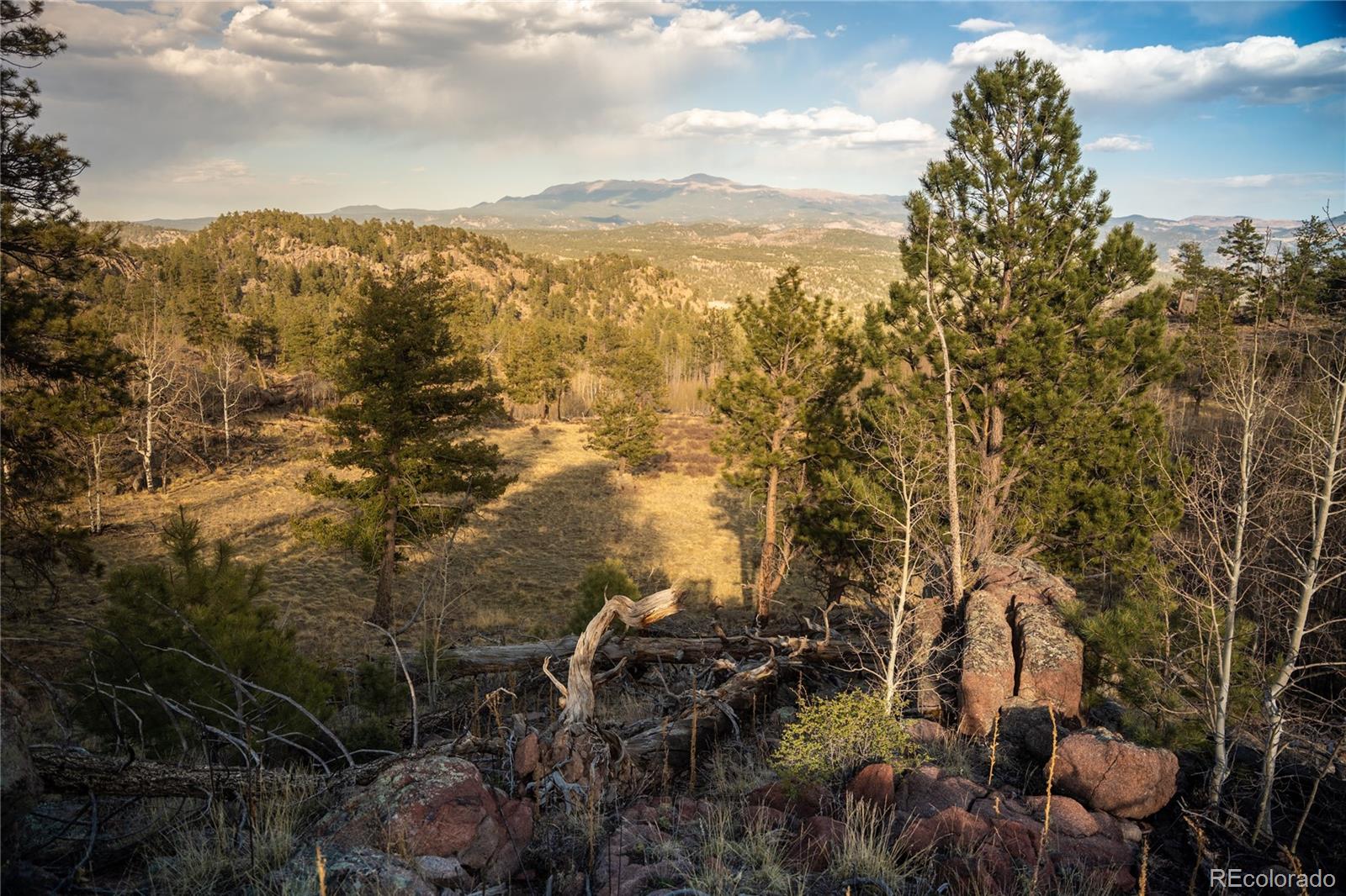 404 Valley Drive Florissant CO 80816