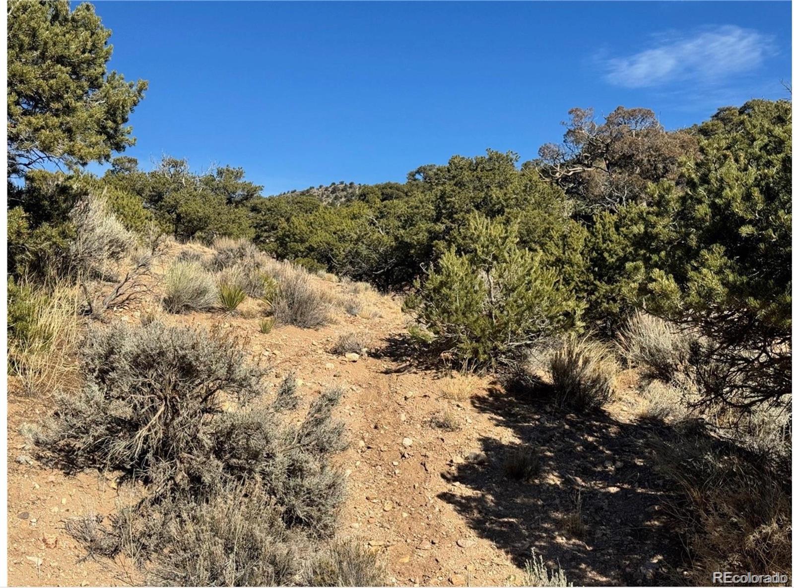 Lot 2446 Zuni Road Fort Garland CO 81133