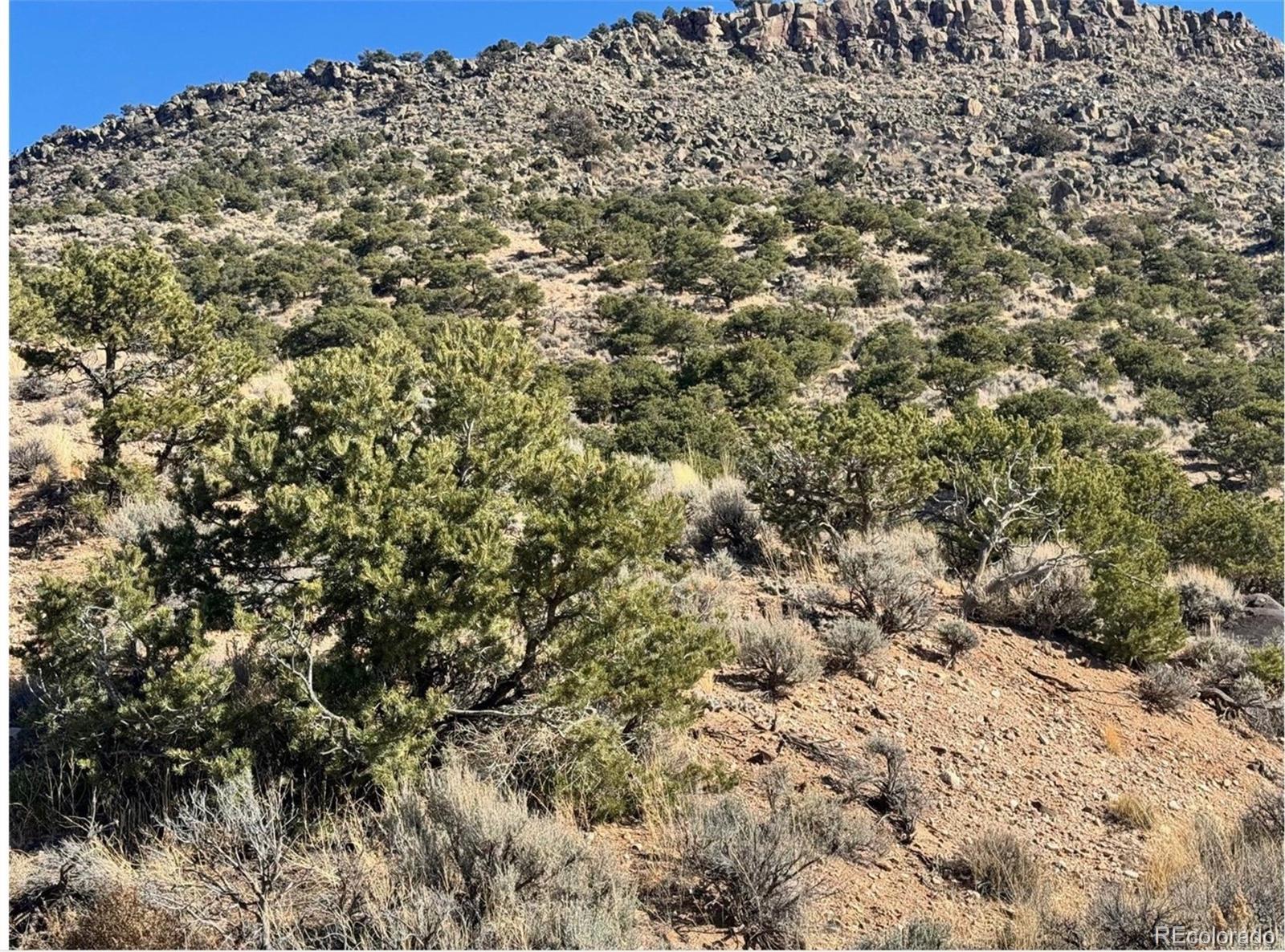 Lot 2446 Zuni Road Fort Garland CO 81133