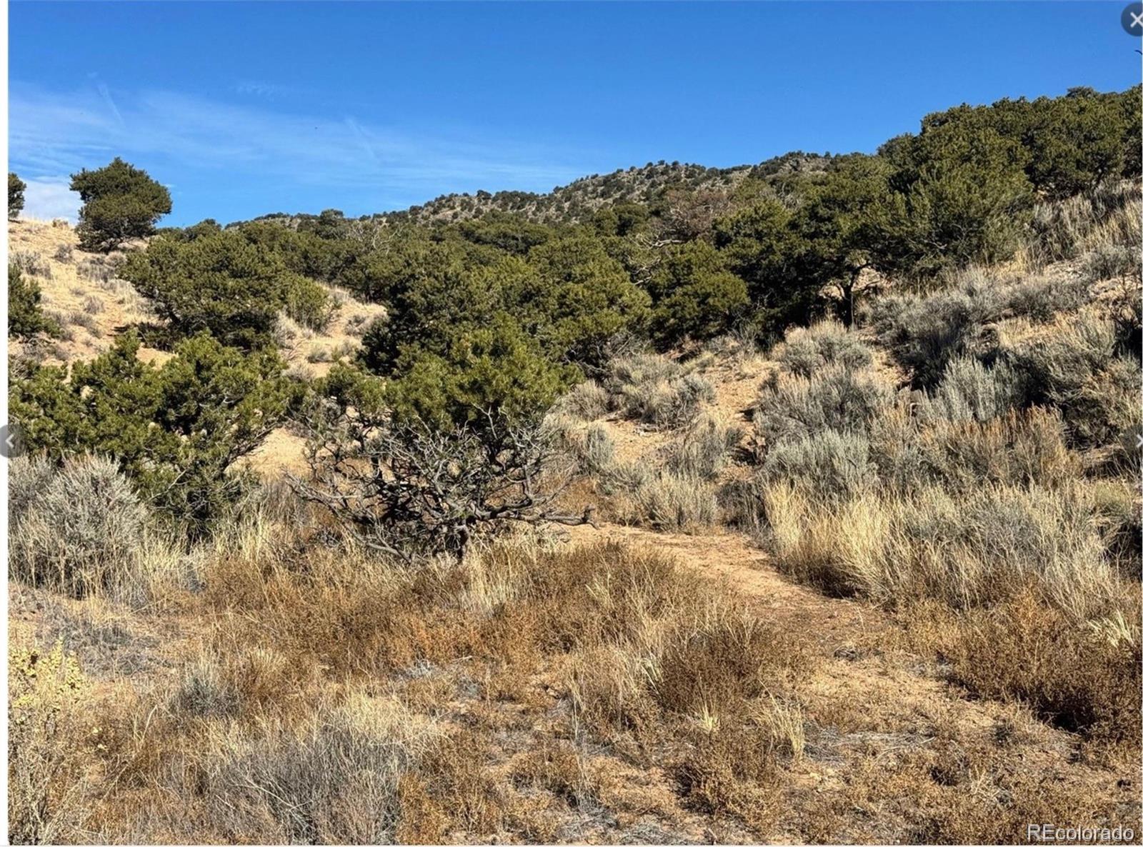 Lot 2446 Zuni Road Fort Garland CO 81133