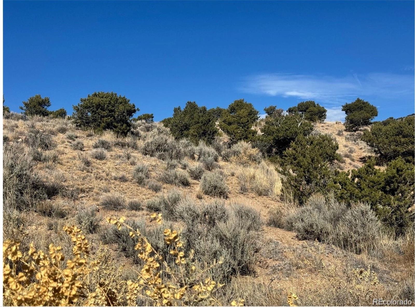Lot 2446 Zuni Road Fort Garland CO 81133