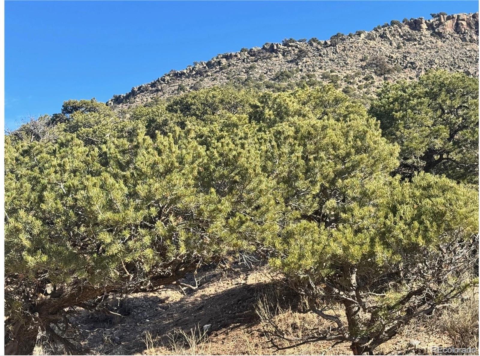 Lot 2446 Zuni Road Fort Garland CO 81133