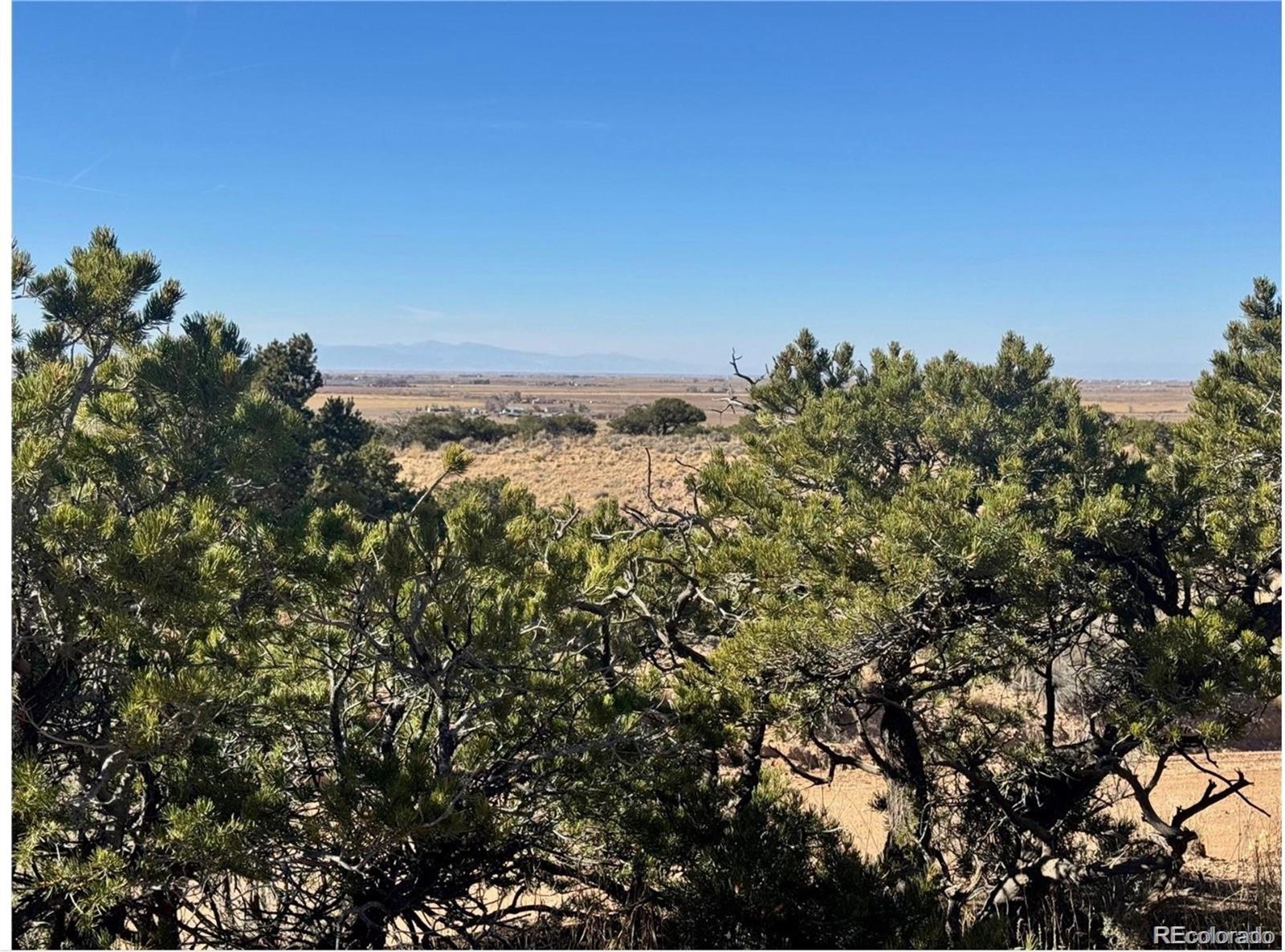 Lot 2446 Zuni Road Fort Garland CO 81133