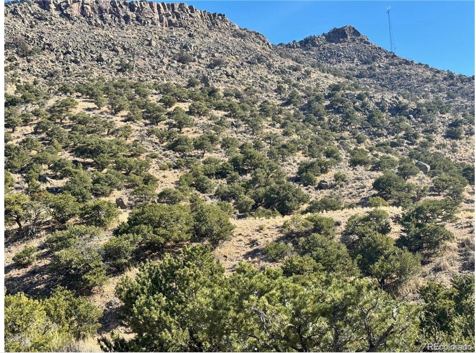 Lot 2446 Zuni Road Fort Garland CO 81133