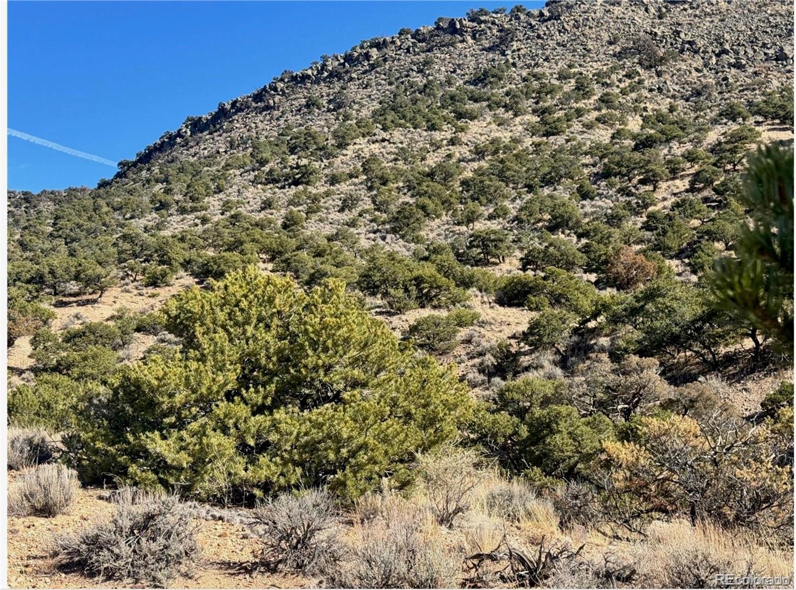 Lot 2446 Zuni Road Fort Garland CO 81133