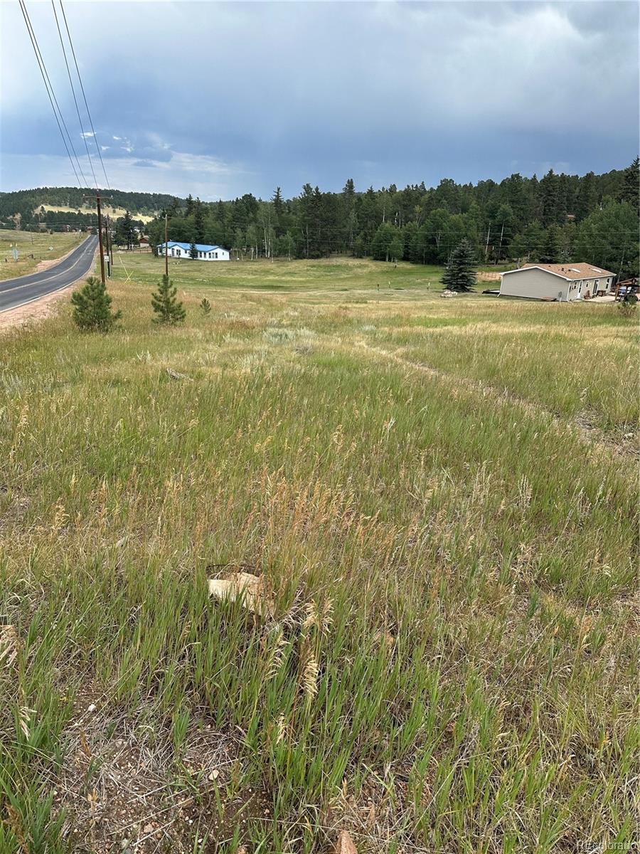 17 And 33 Deer Ridge Trail Florissant CO 80816