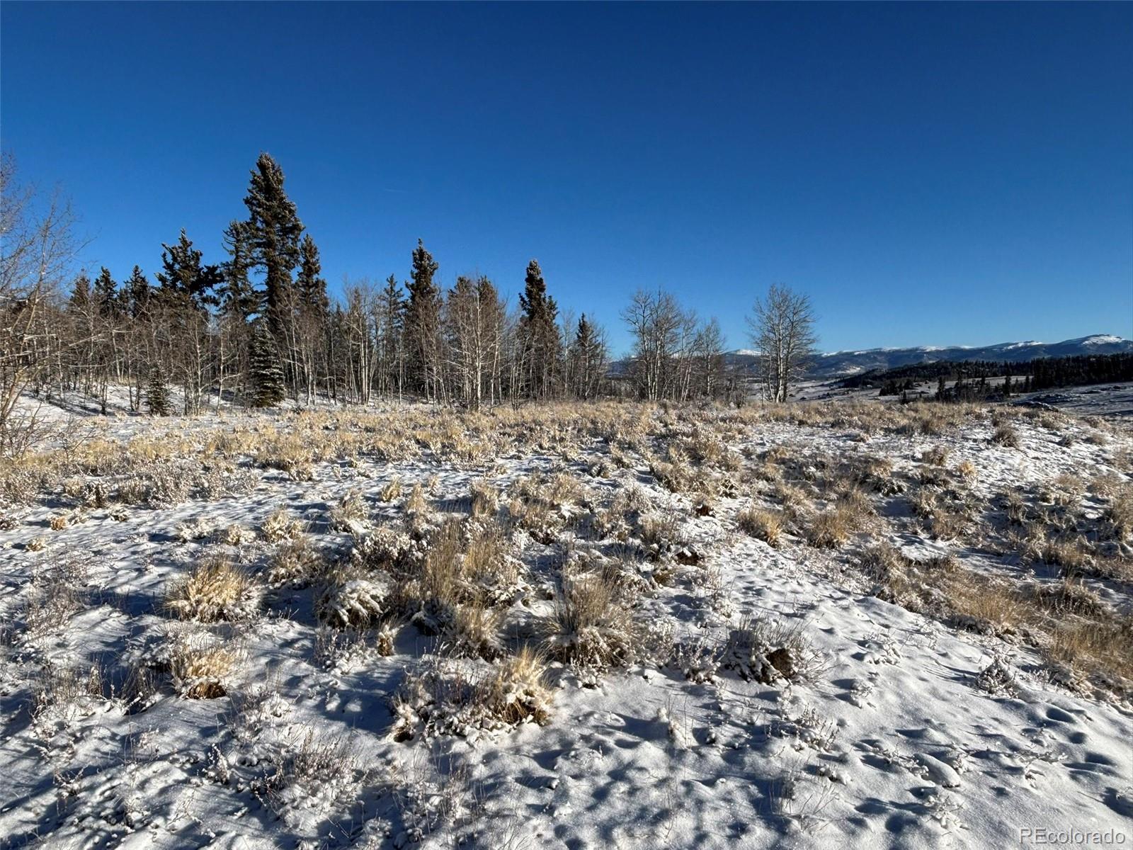 769 Mockingbird Circle Como CO 80432