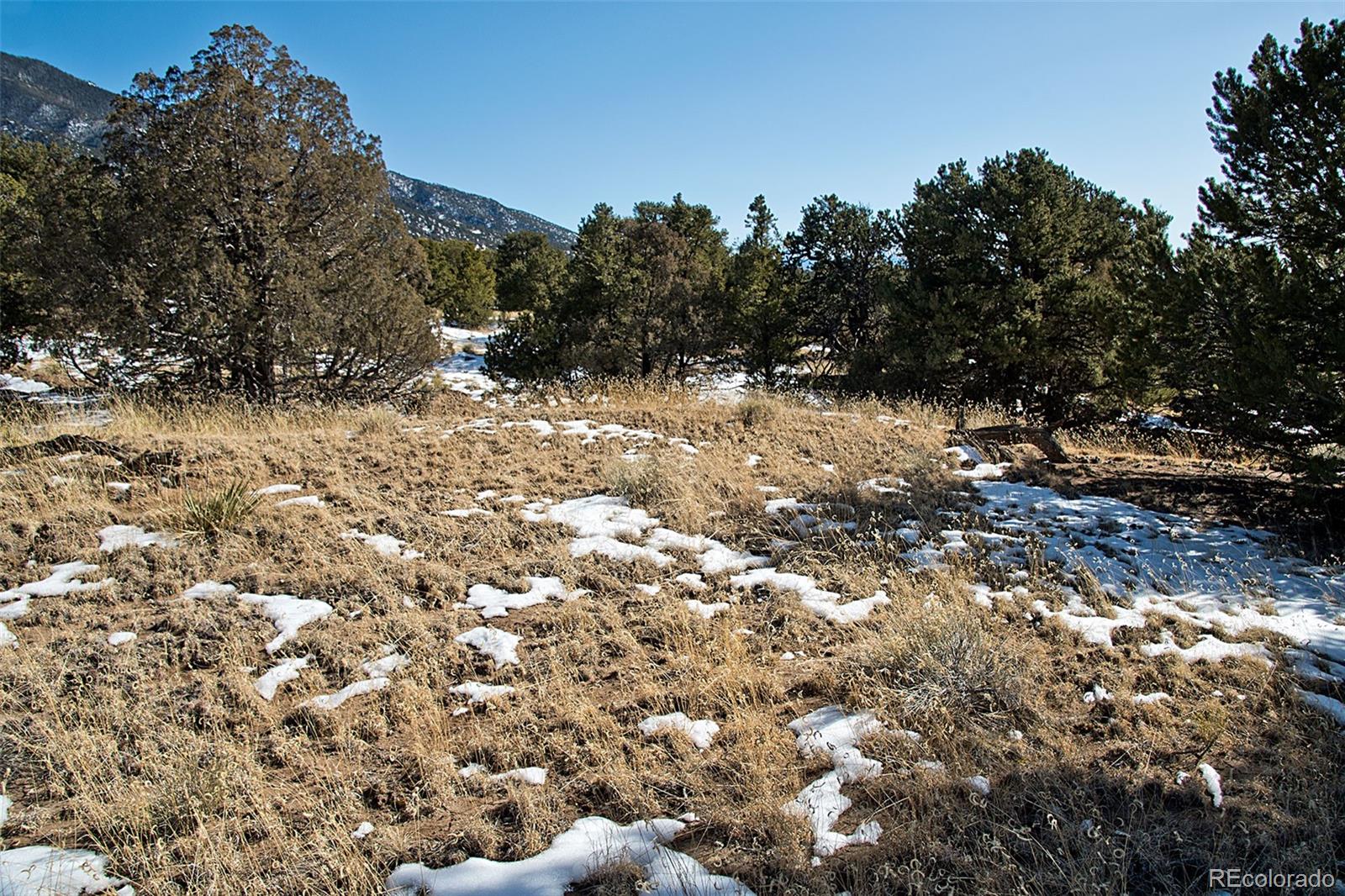 Naropa Tract Crestone CO 81131