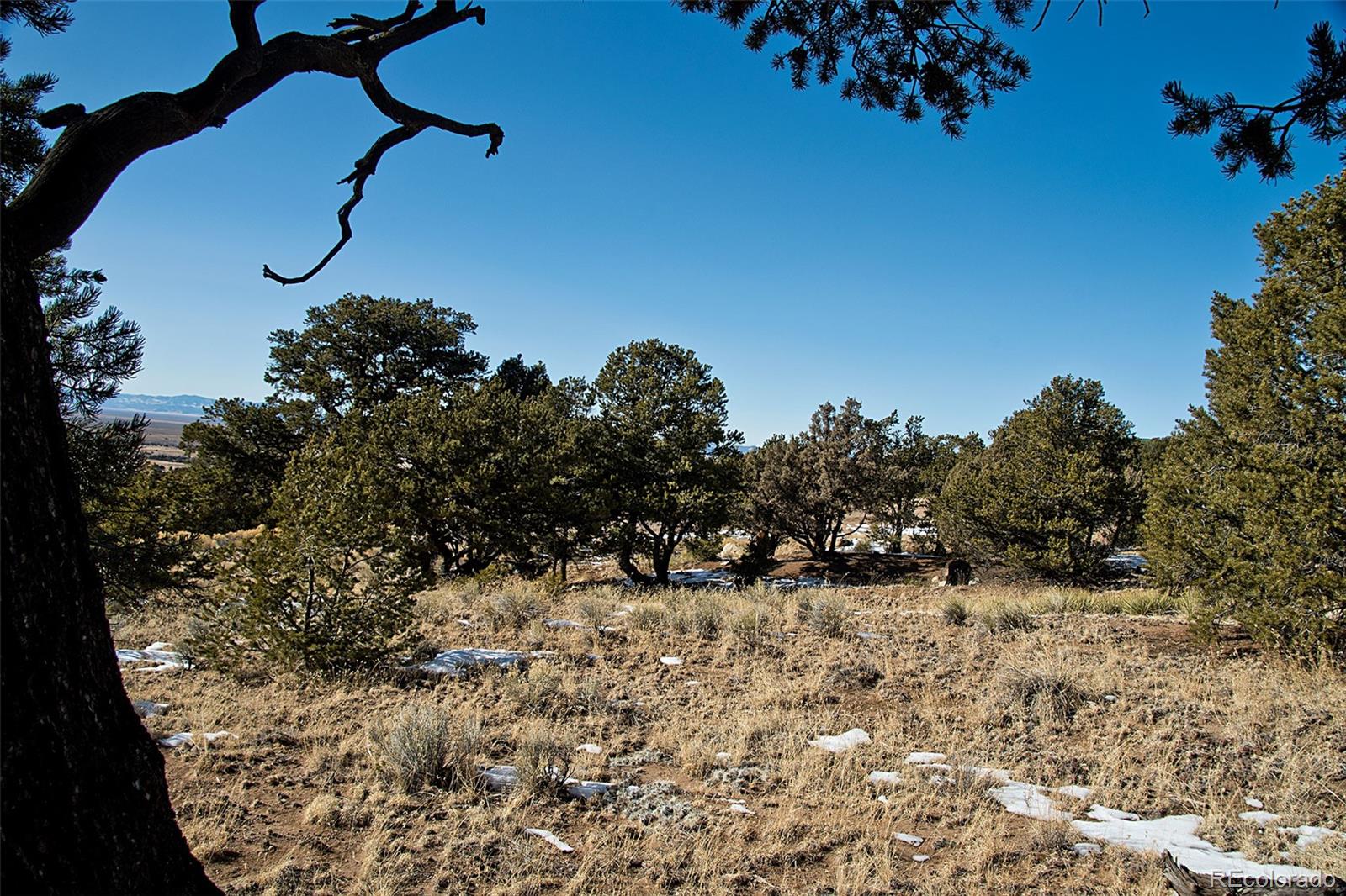 Naropa Tract Crestone CO 81131