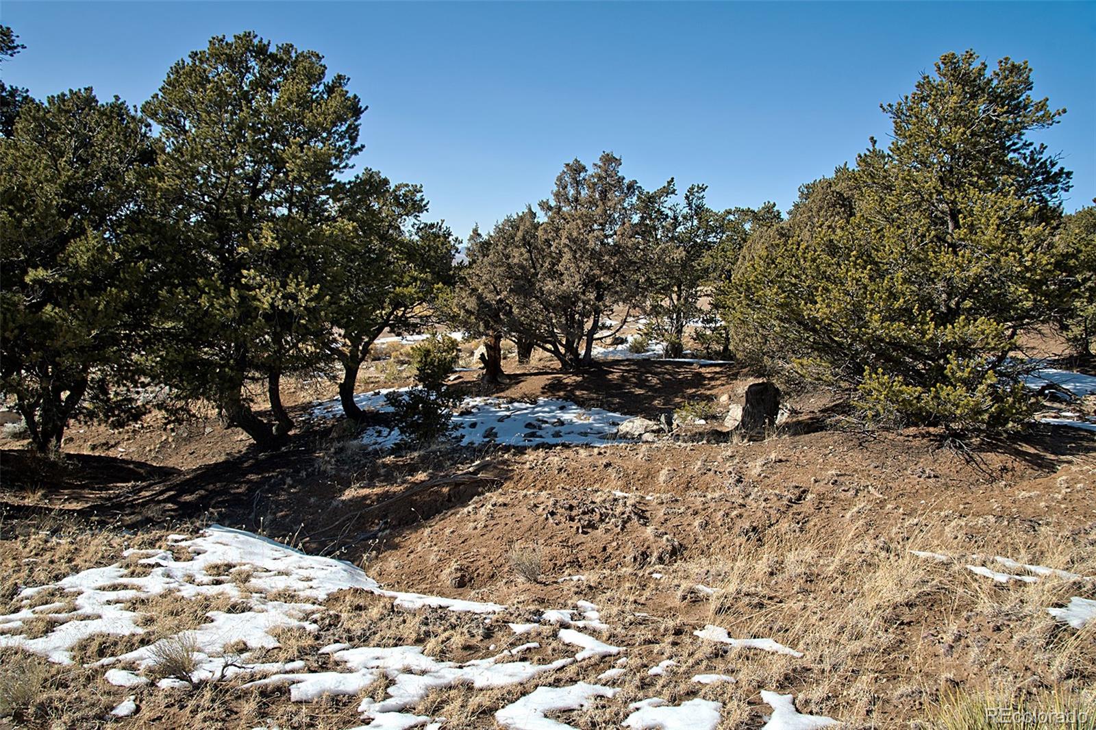 Naropa Tract Crestone CO 81131