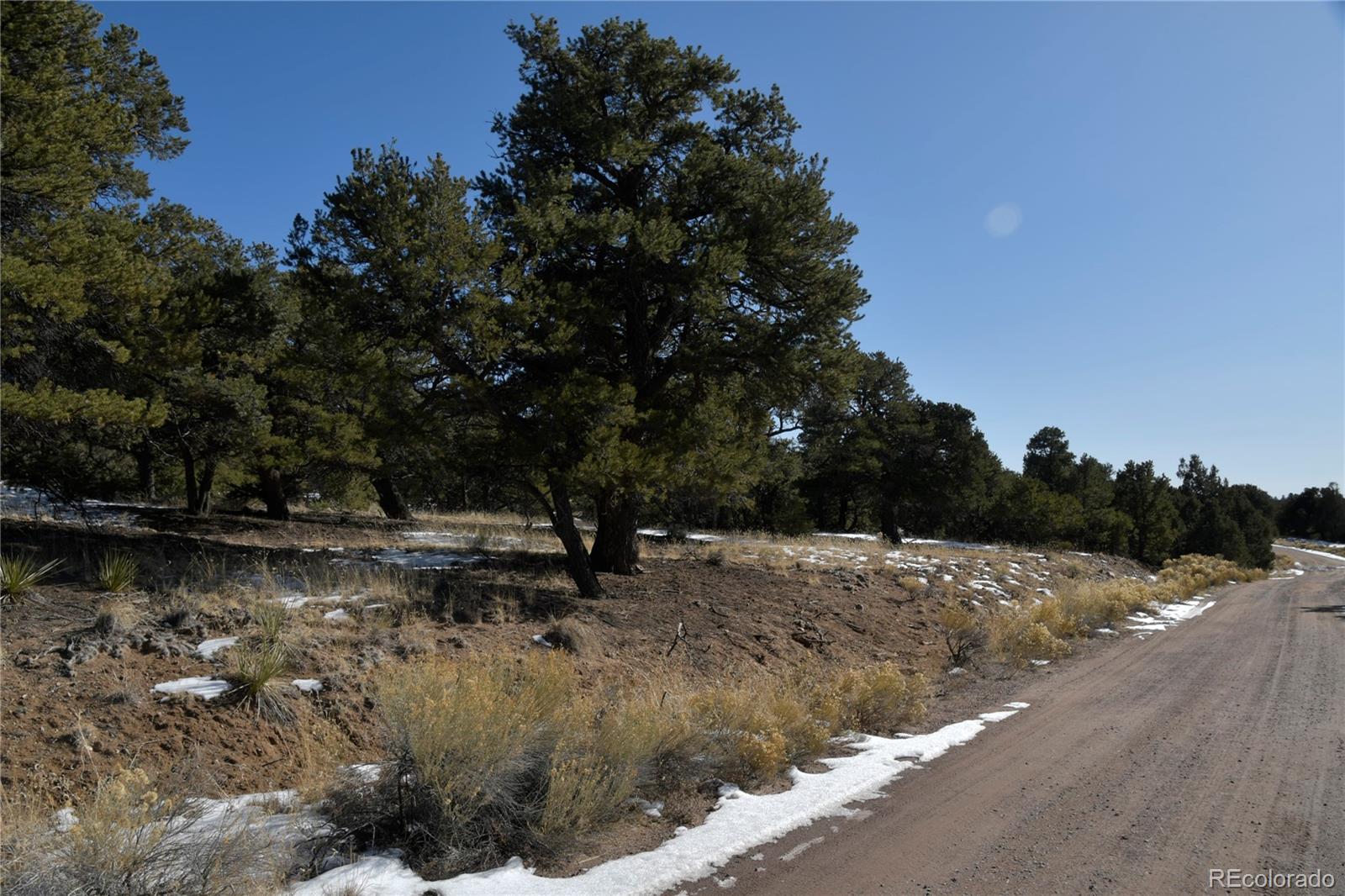 Naropa Tract Crestone CO 81131