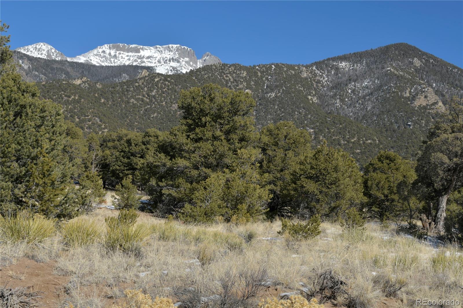 Naropa Tract Crestone CO 81131