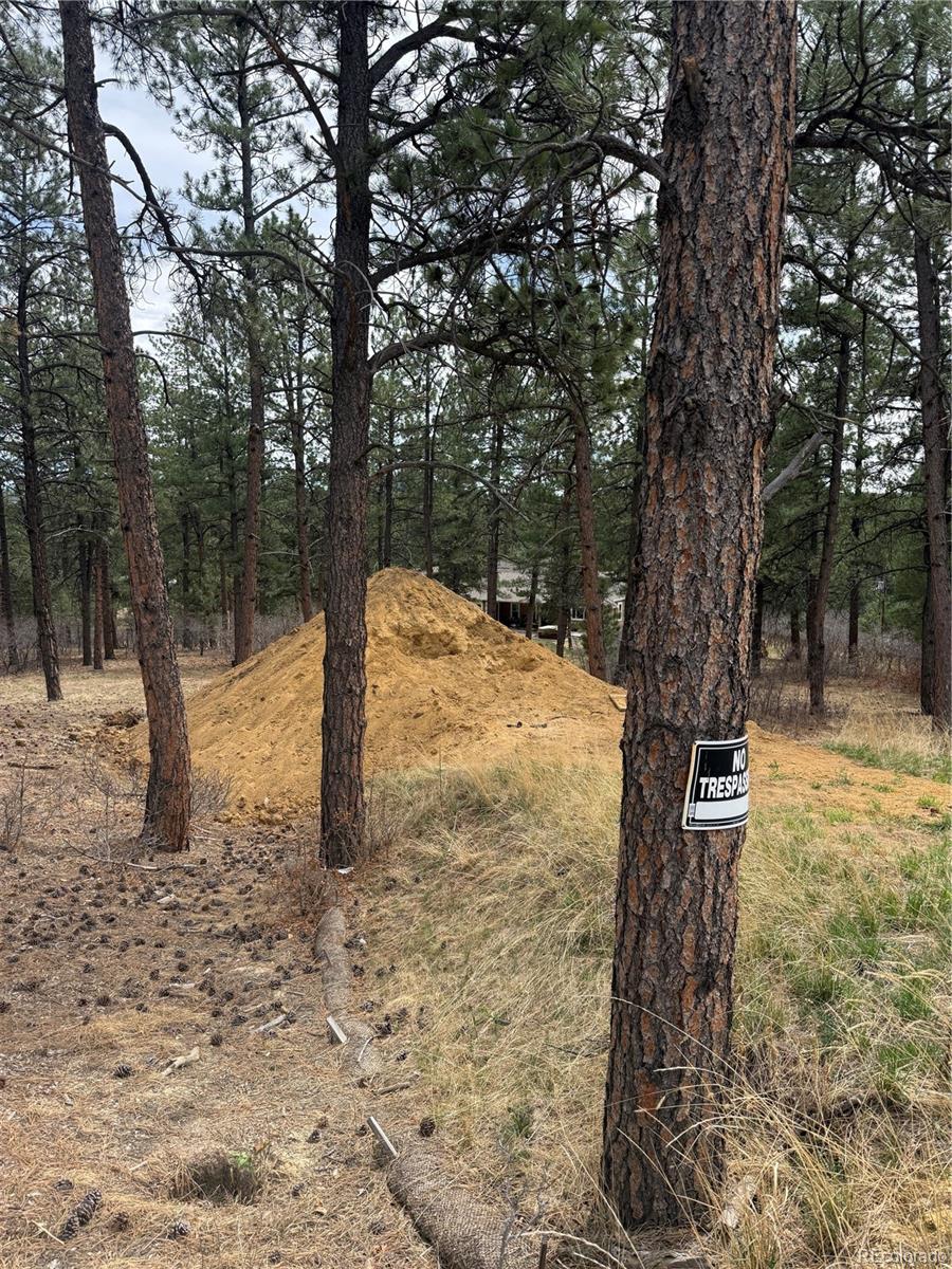 636 Copper Fox Place Larkspur CO 80118
