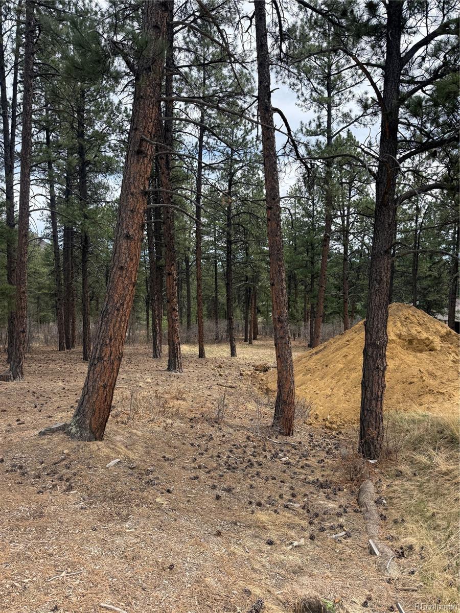 636 Copper Fox Place Larkspur CO 80118