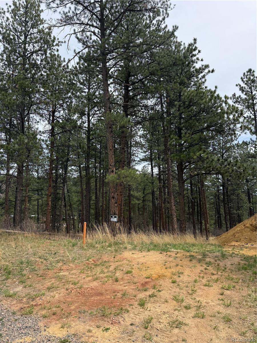 636 Copper Fox Place Larkspur CO 80118