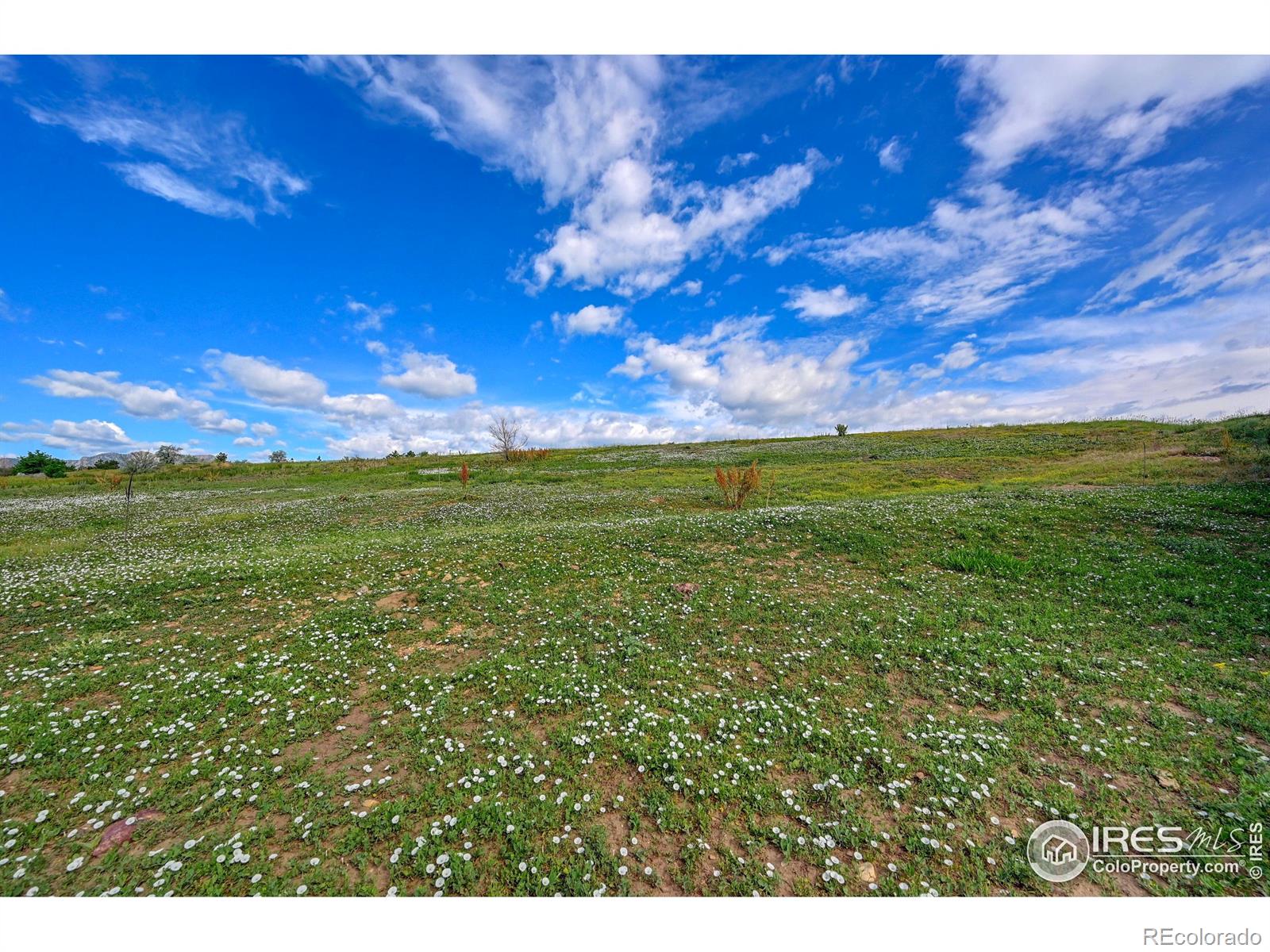 7171 Marshall Drive Boulder CO 80303
