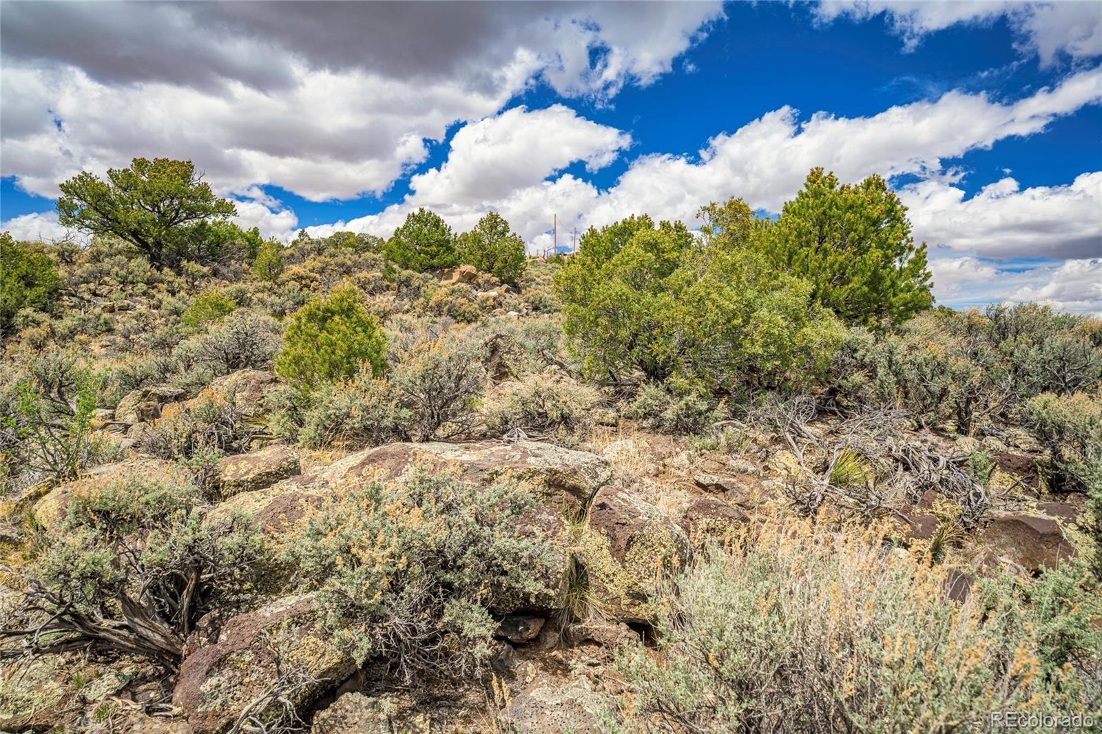 Lot 14 Little Norway Subdivision San Luis CO 81152