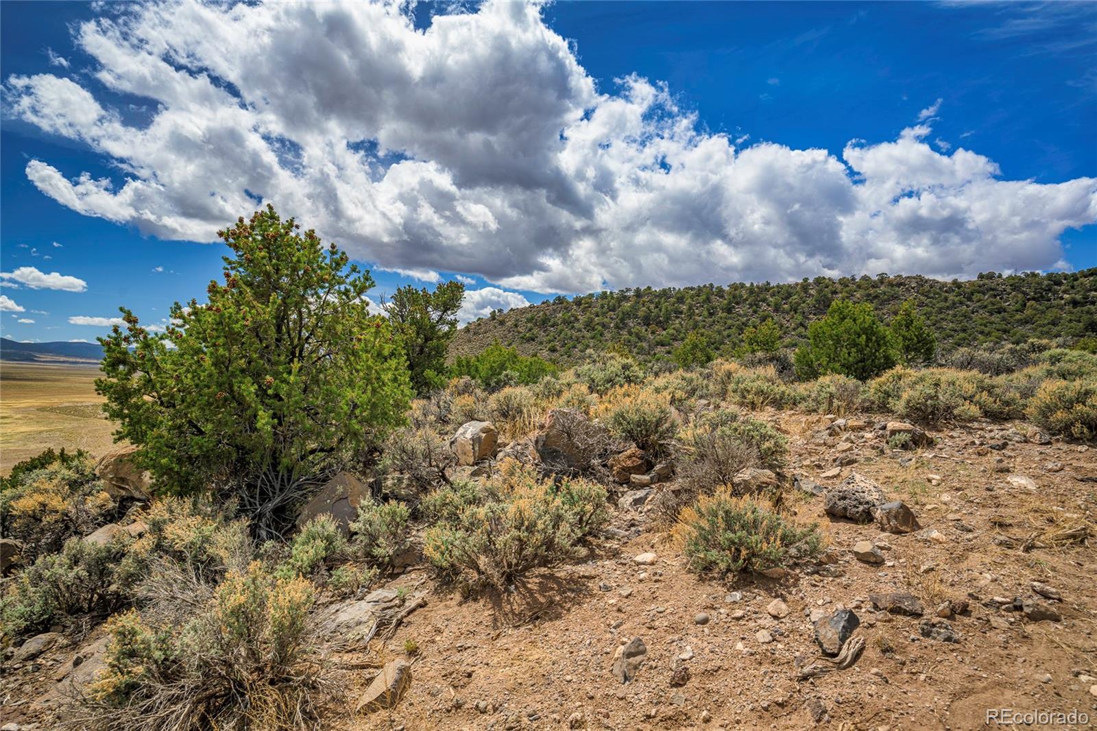 Lot 14 Little Norway Subdivision San Luis CO 81152