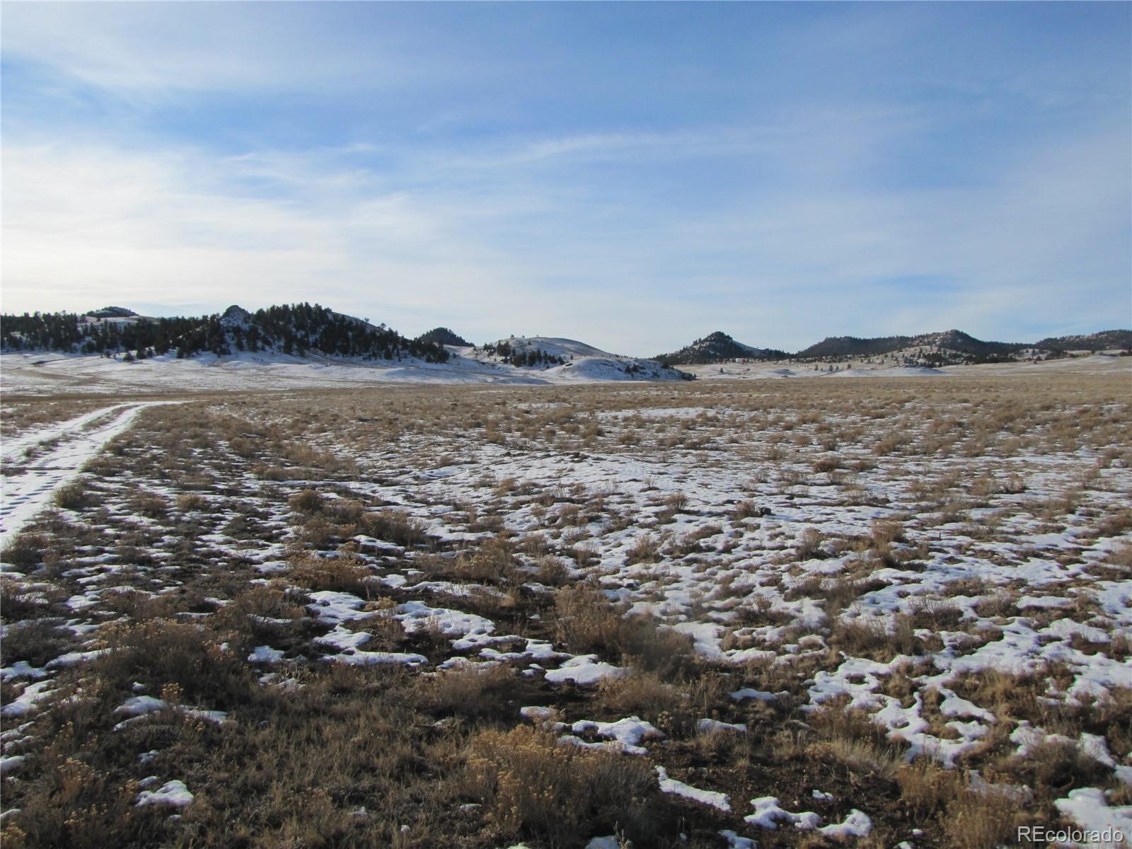 0 Buffalo Drive Hartsel CO 80449