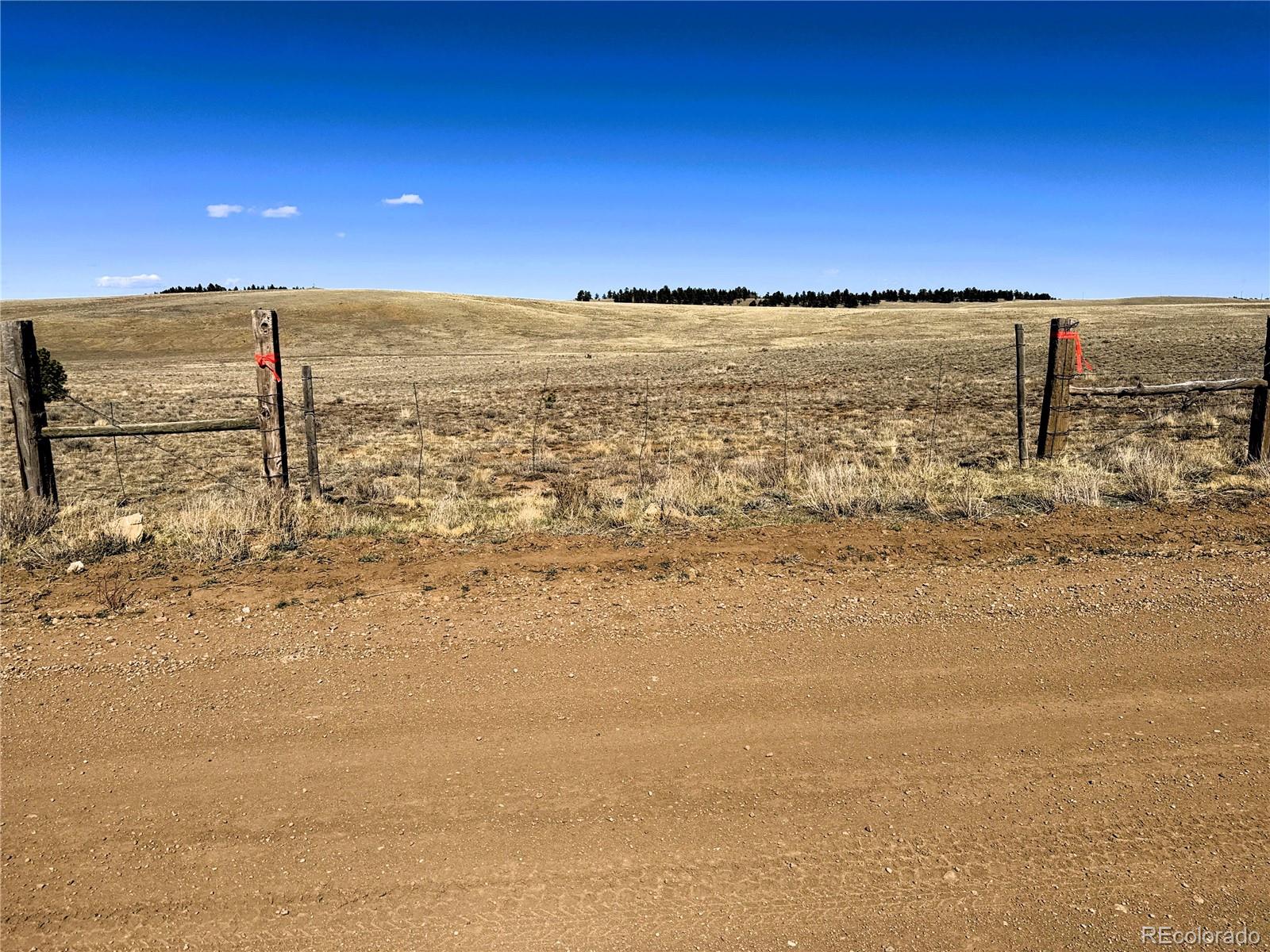 0000 Campfire Road Hartsel CO 80449