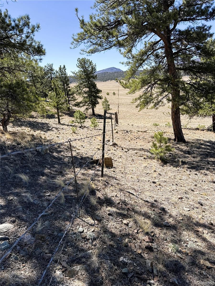 0000 Campfire Road Hartsel CO 80449