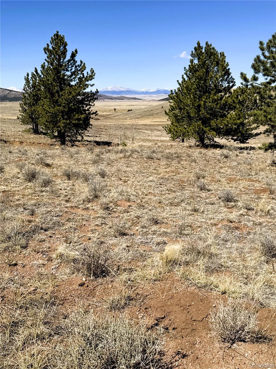 0000 Campfire Road Hartsel CO 80449